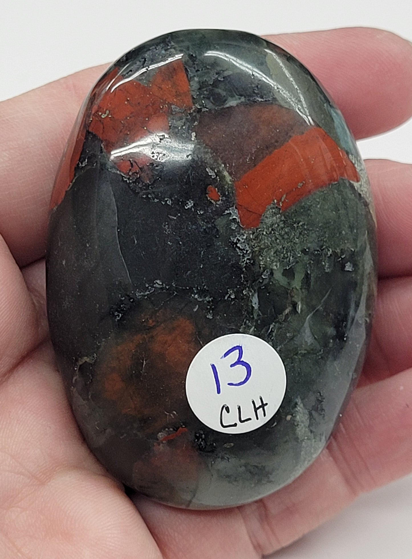 Palm - African Bloodstone