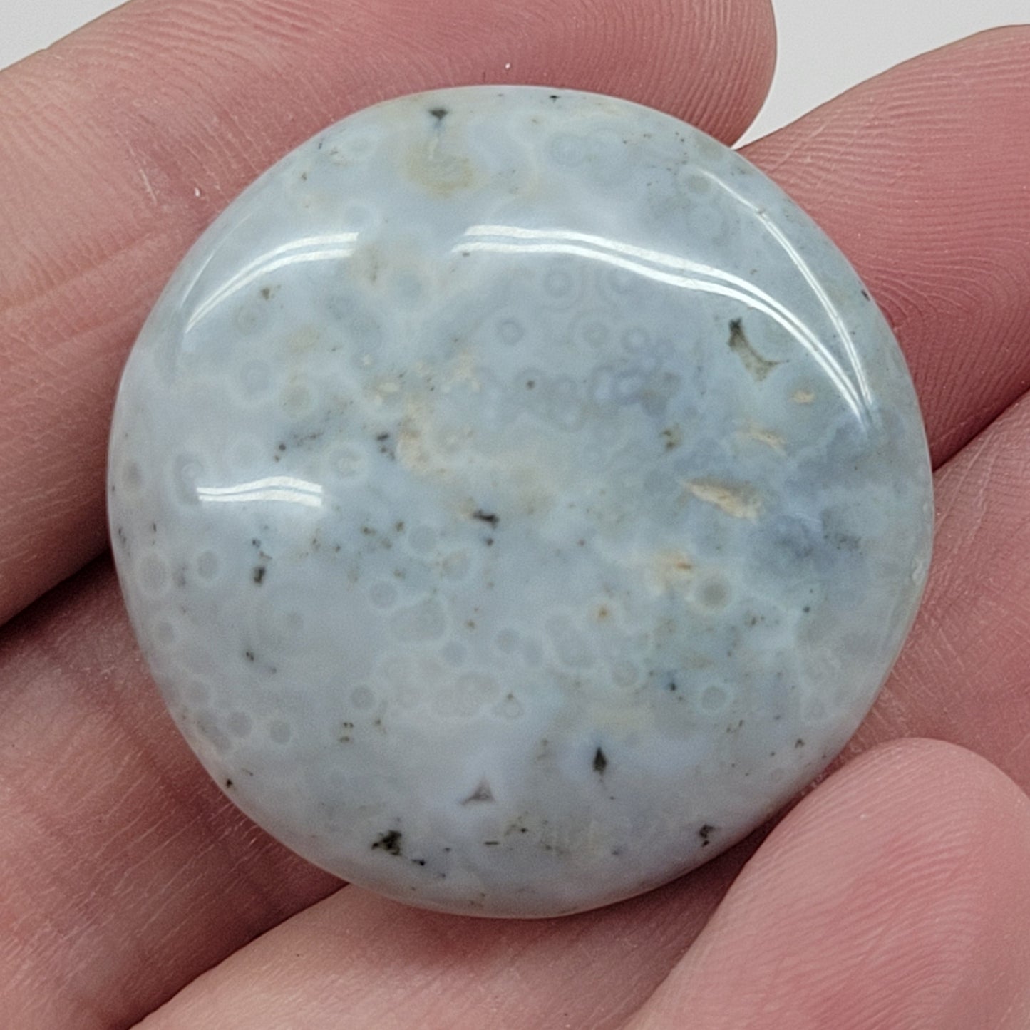 Ocean Jasper coins
