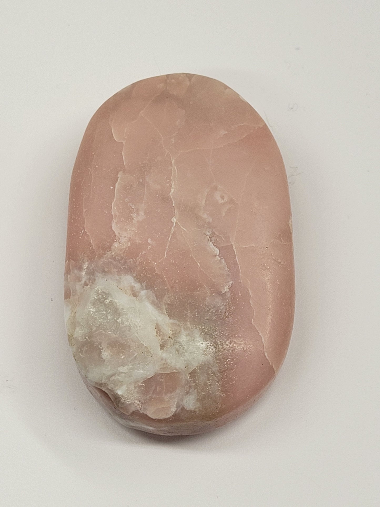 Palm - Pink Opal