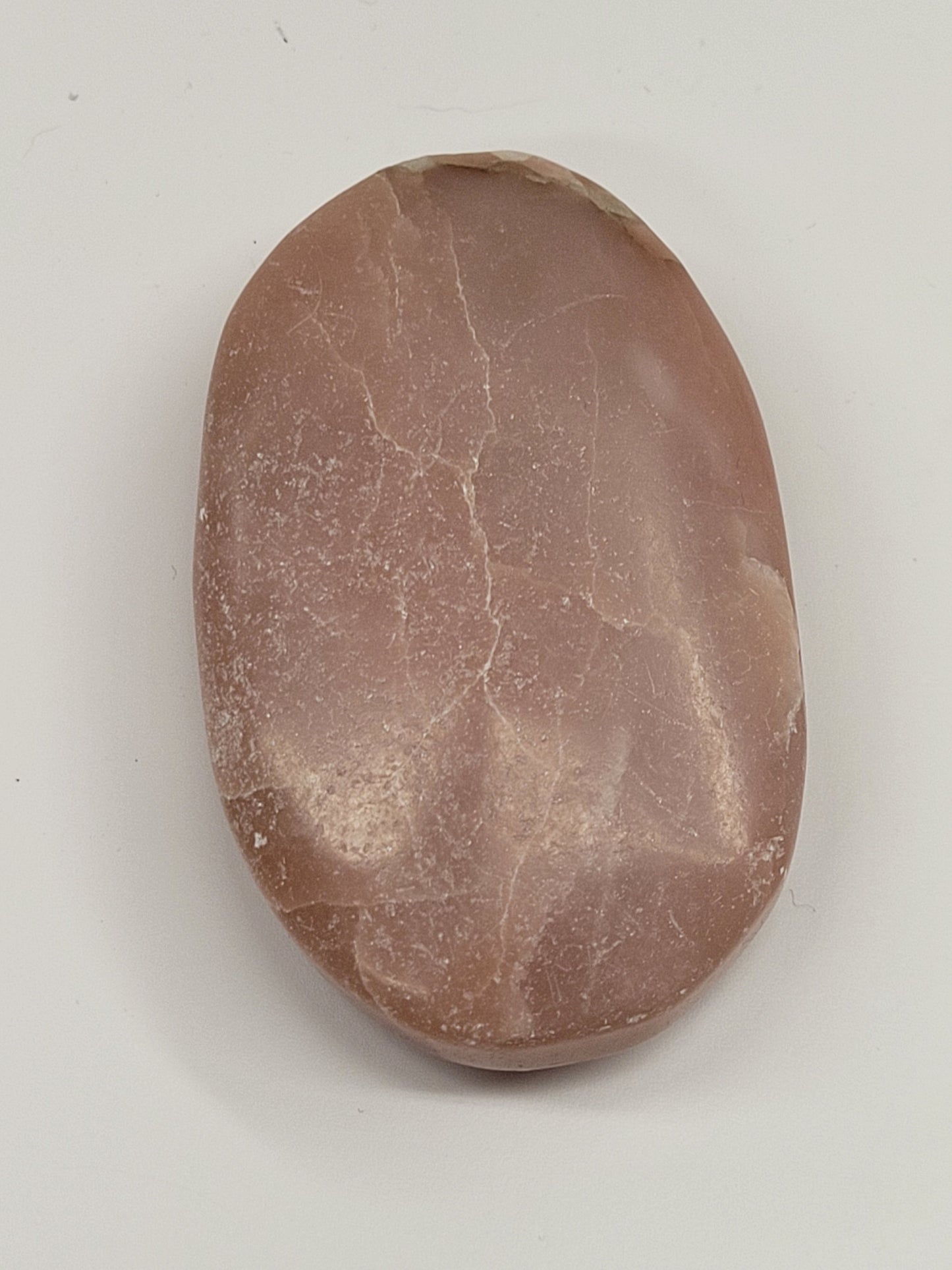 Palm - Pink Opal