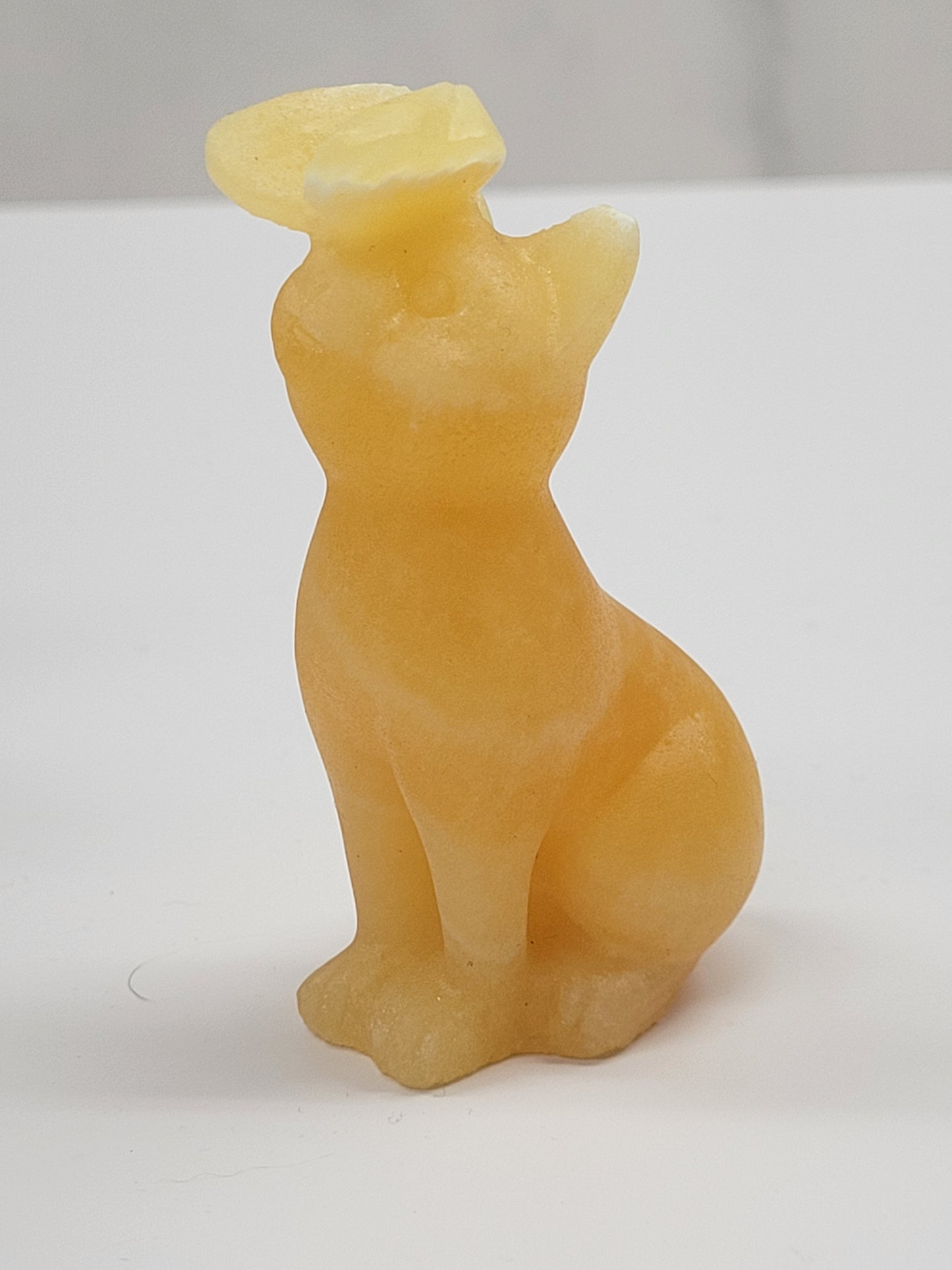 Cat/kitty carving - butterfly on nose (L)
