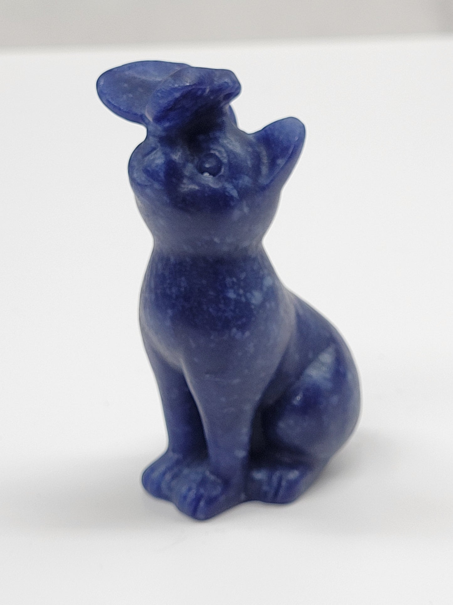 Cat/kitty carving - butterfly on nose (L)