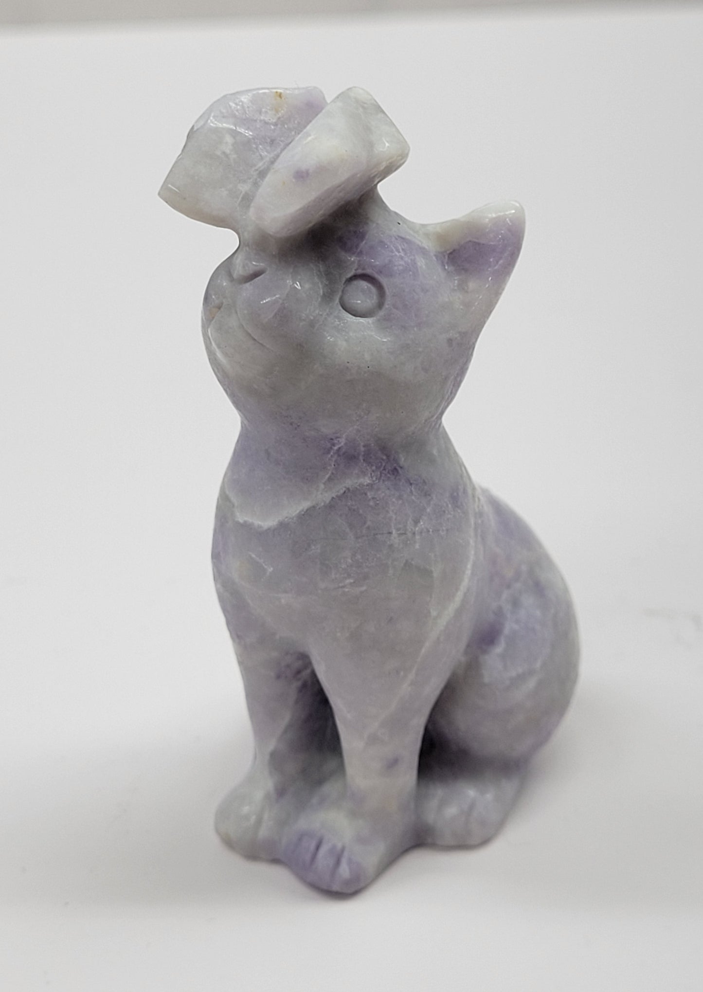 Cat/kitty carving - butterfly on nose (L)