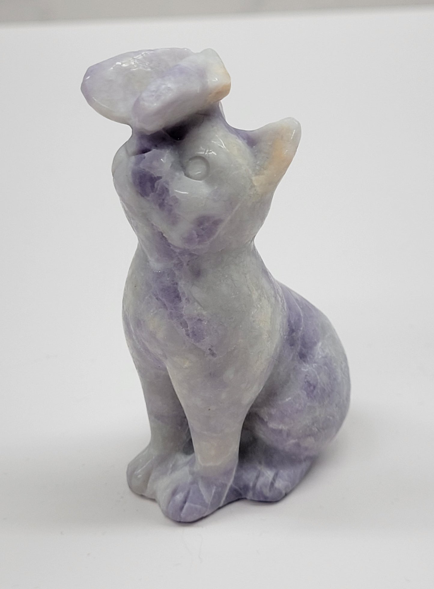 Cat/kitty carving - butterfly on nose (L)