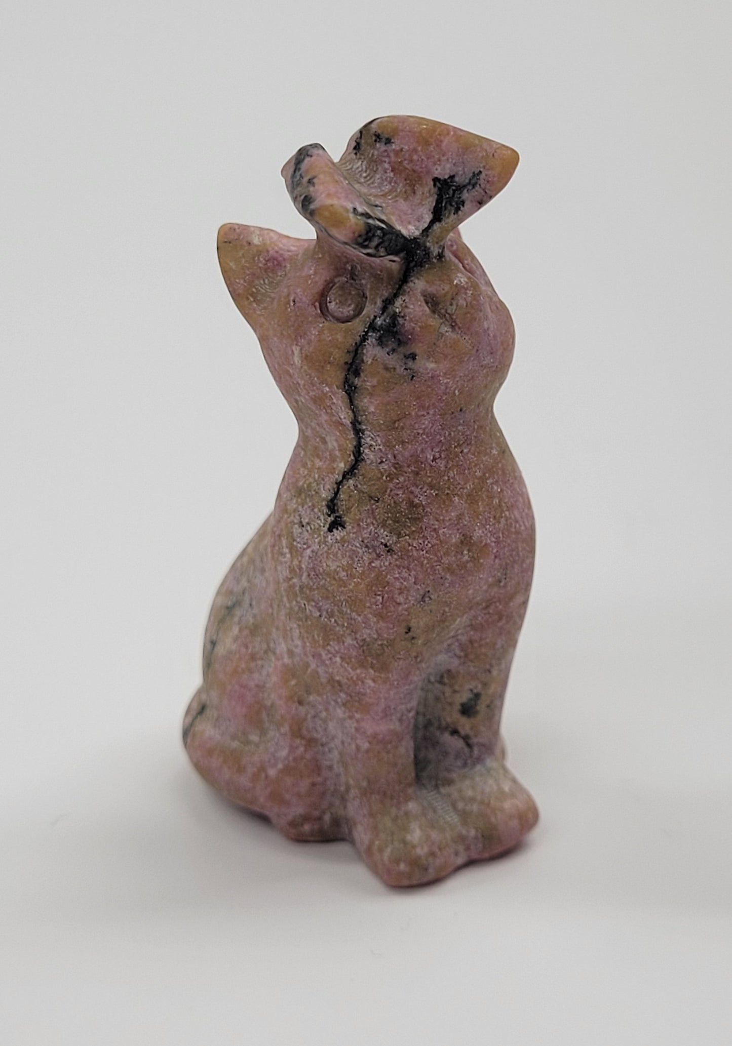 Cat/kitty carving - butterfly on nose (S)