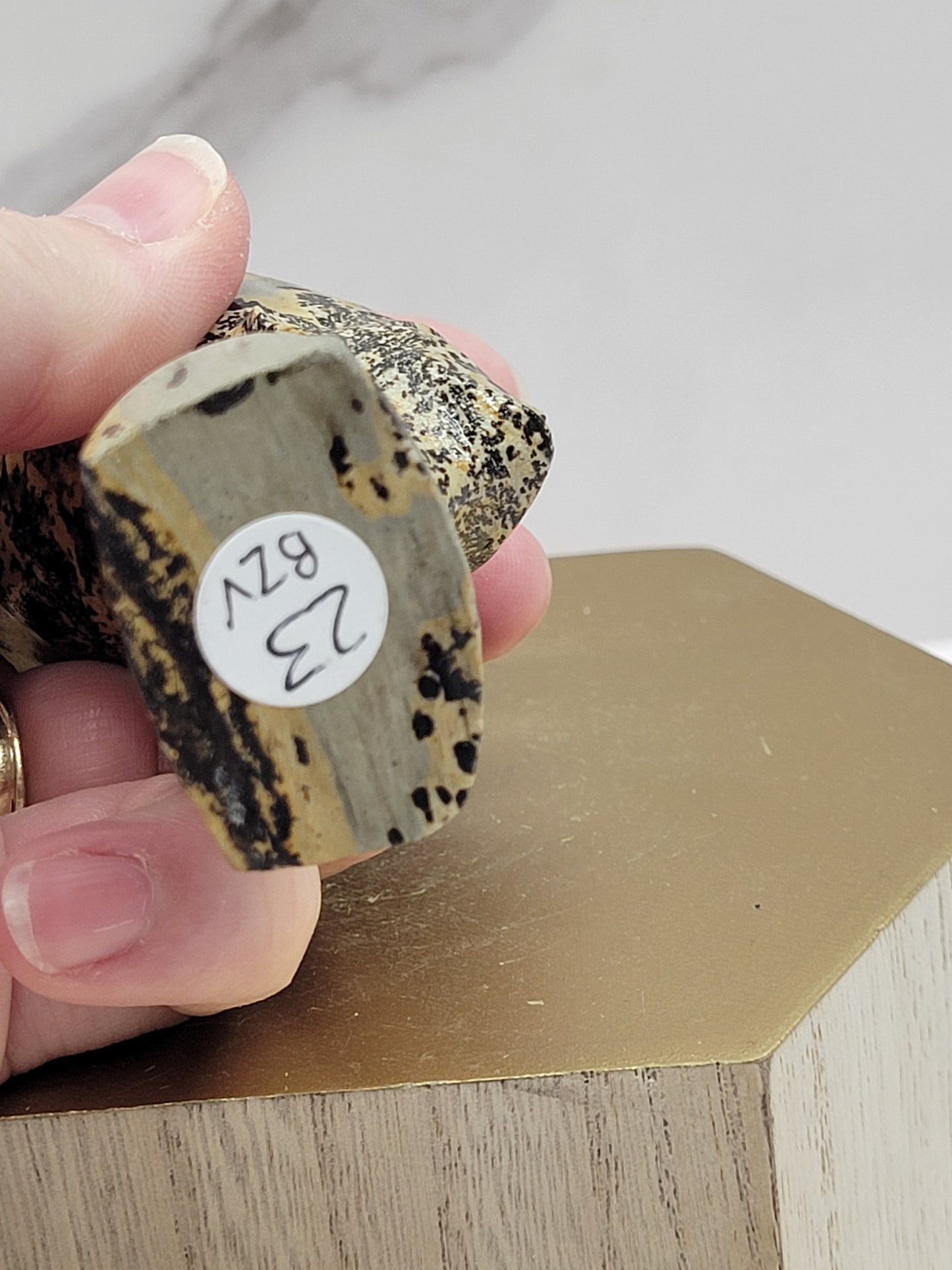 Queen Nefertiti carving (Picture Jasper)