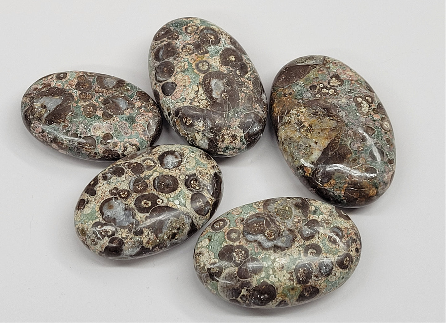 Palm - Crocodile Jasper