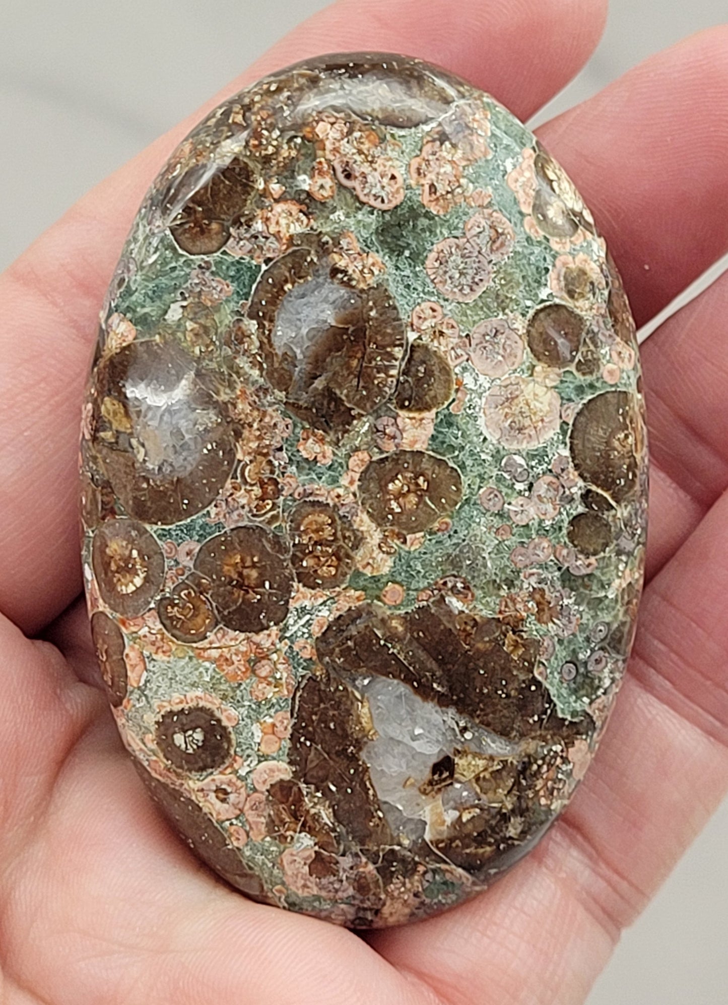 Palm - Crocodile Jasper