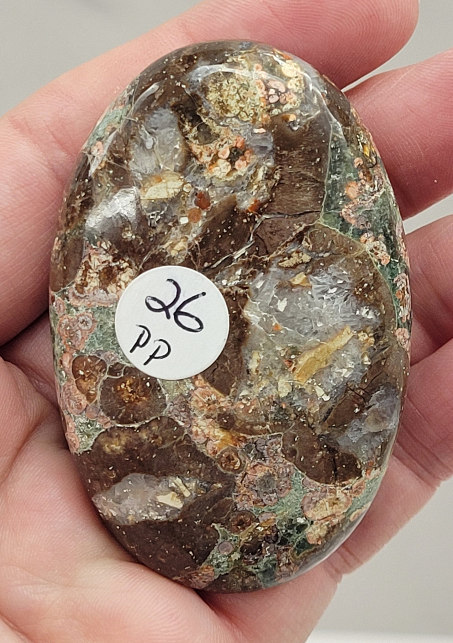 Palm - Crocodile Jasper