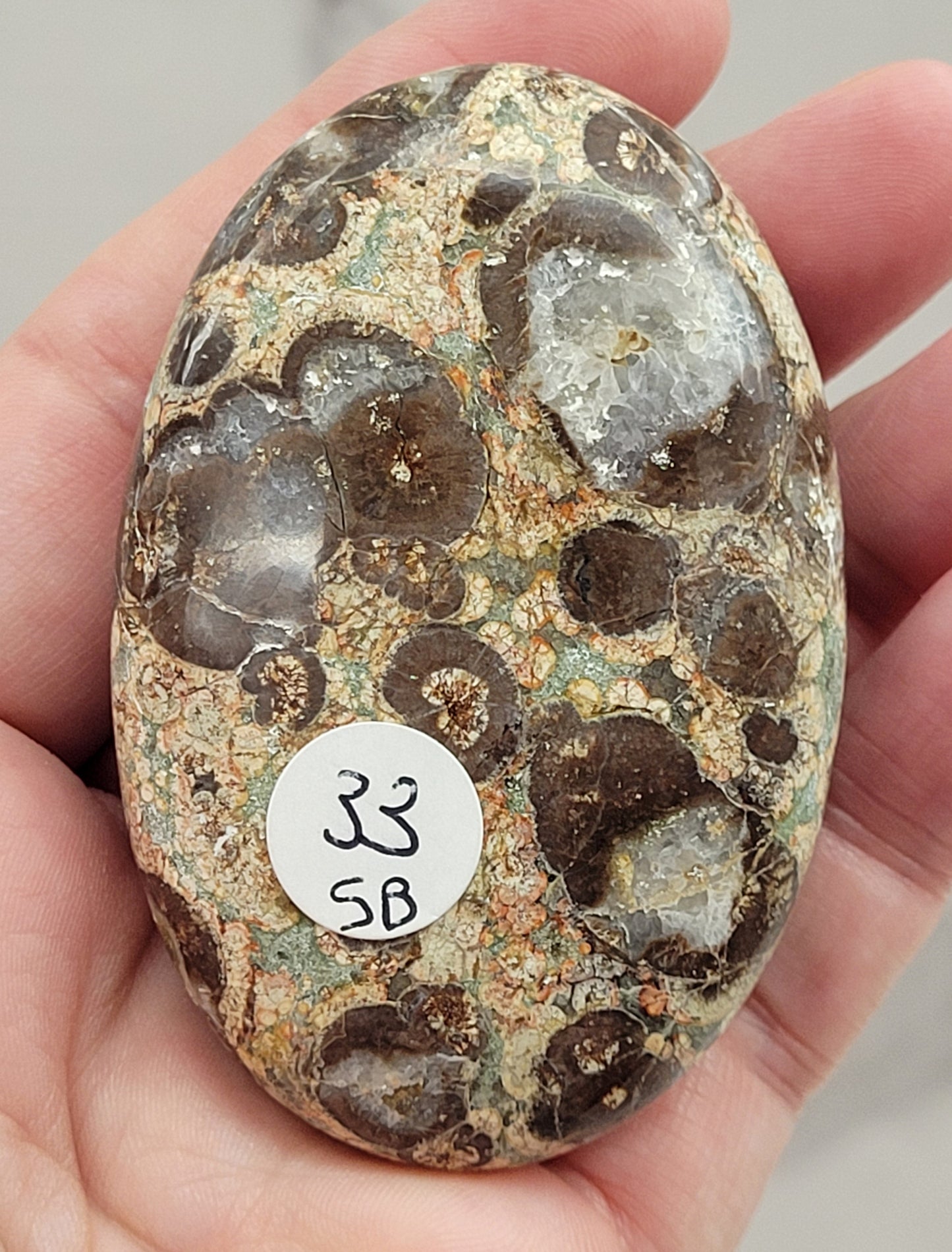 Palm - Crocodile Jasper
