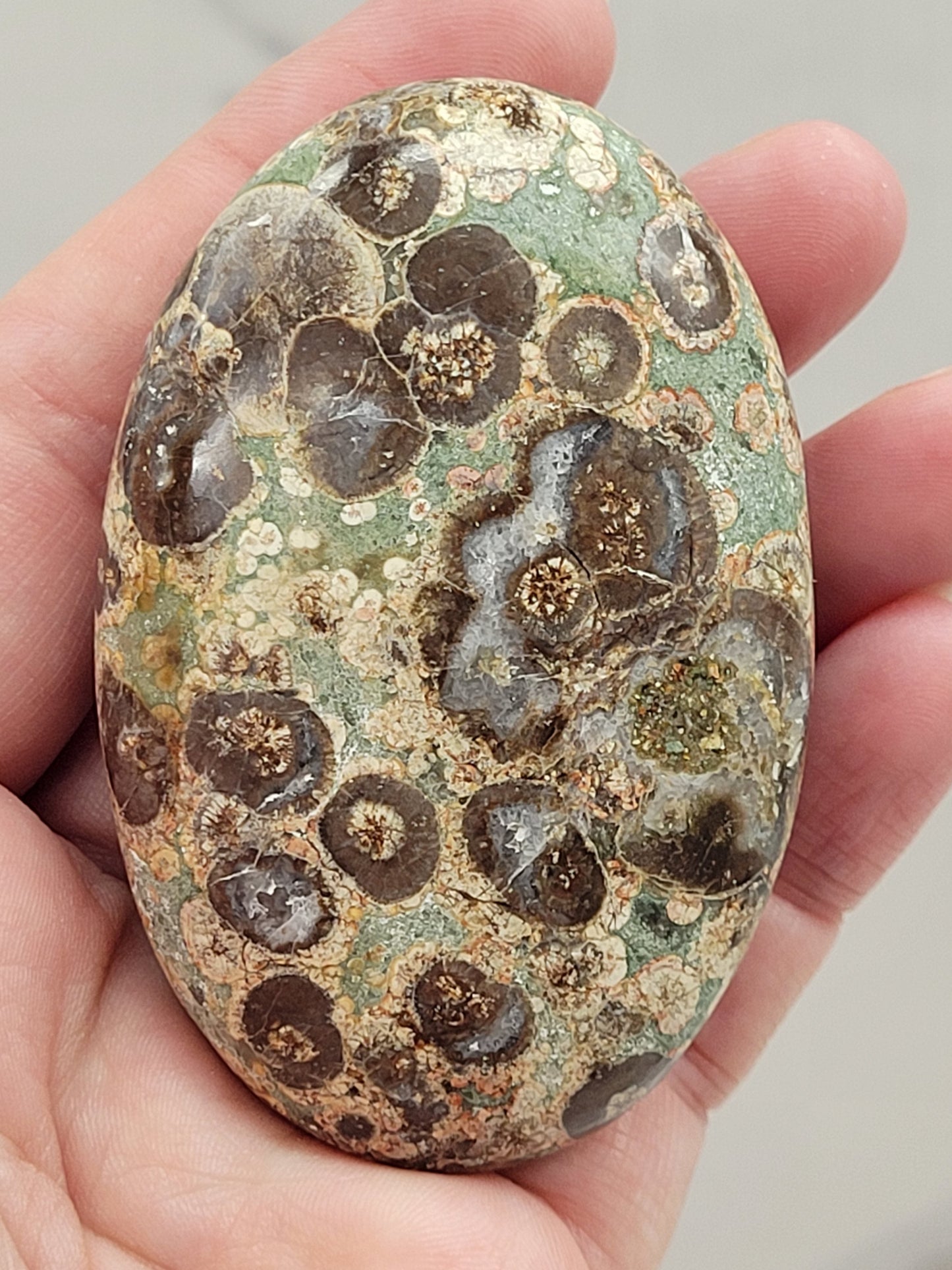 Palm - Crocodile Jasper
