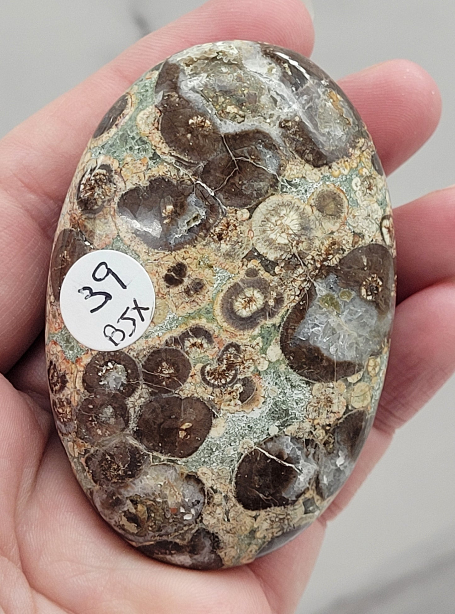 Palm - Crocodile Jasper