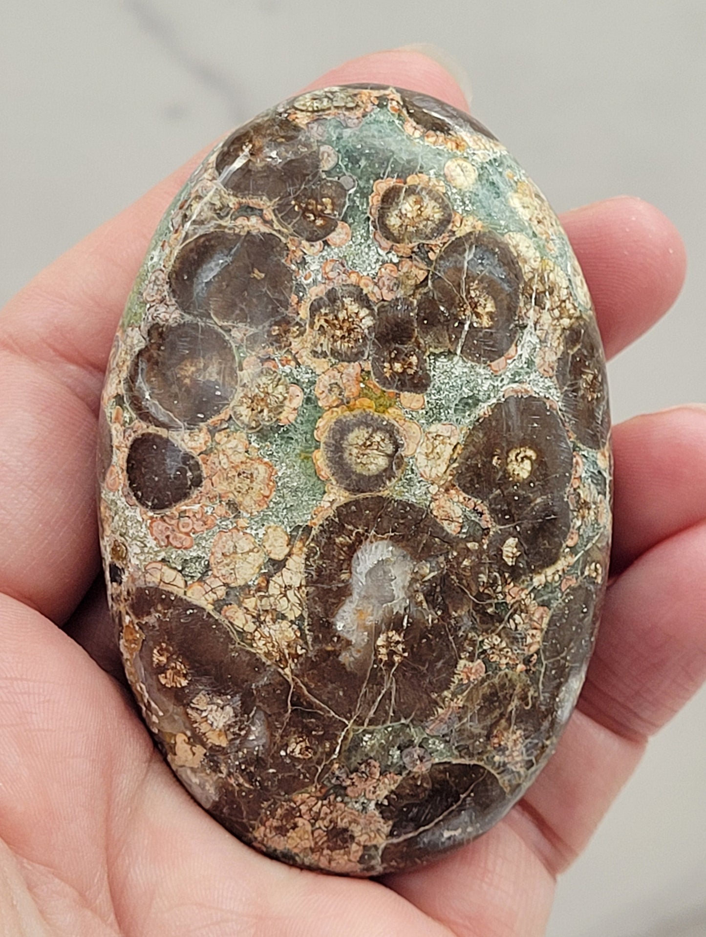 Palm - Crocodile Jasper