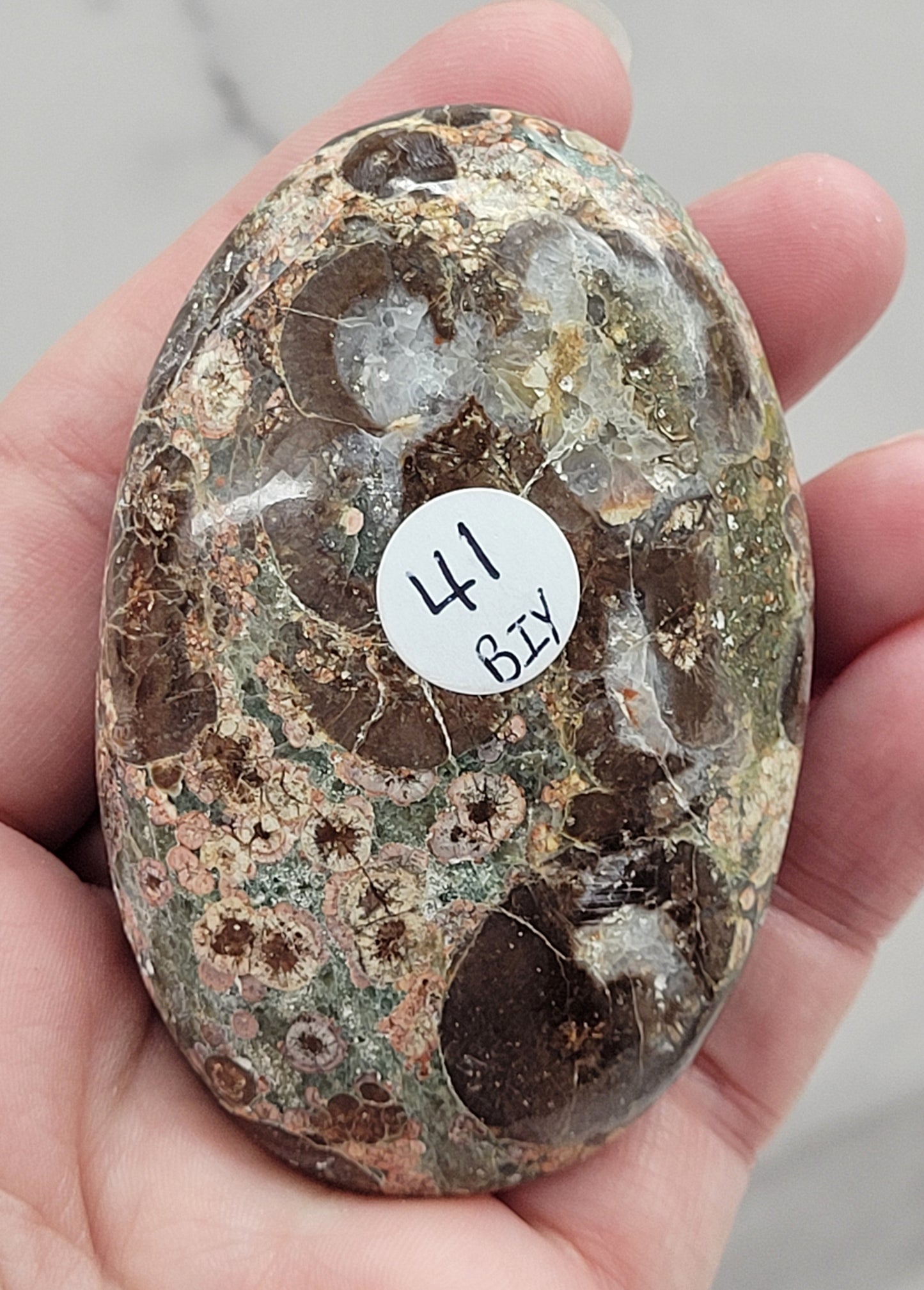Palm - Crocodile Jasper
