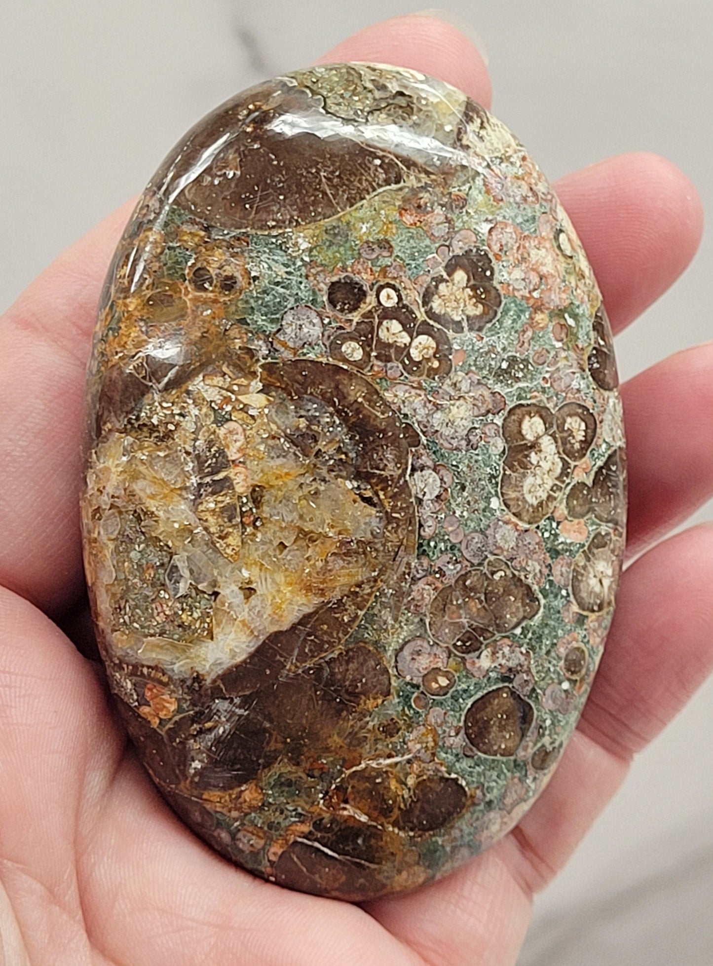 Palm - Crocodile Jasper