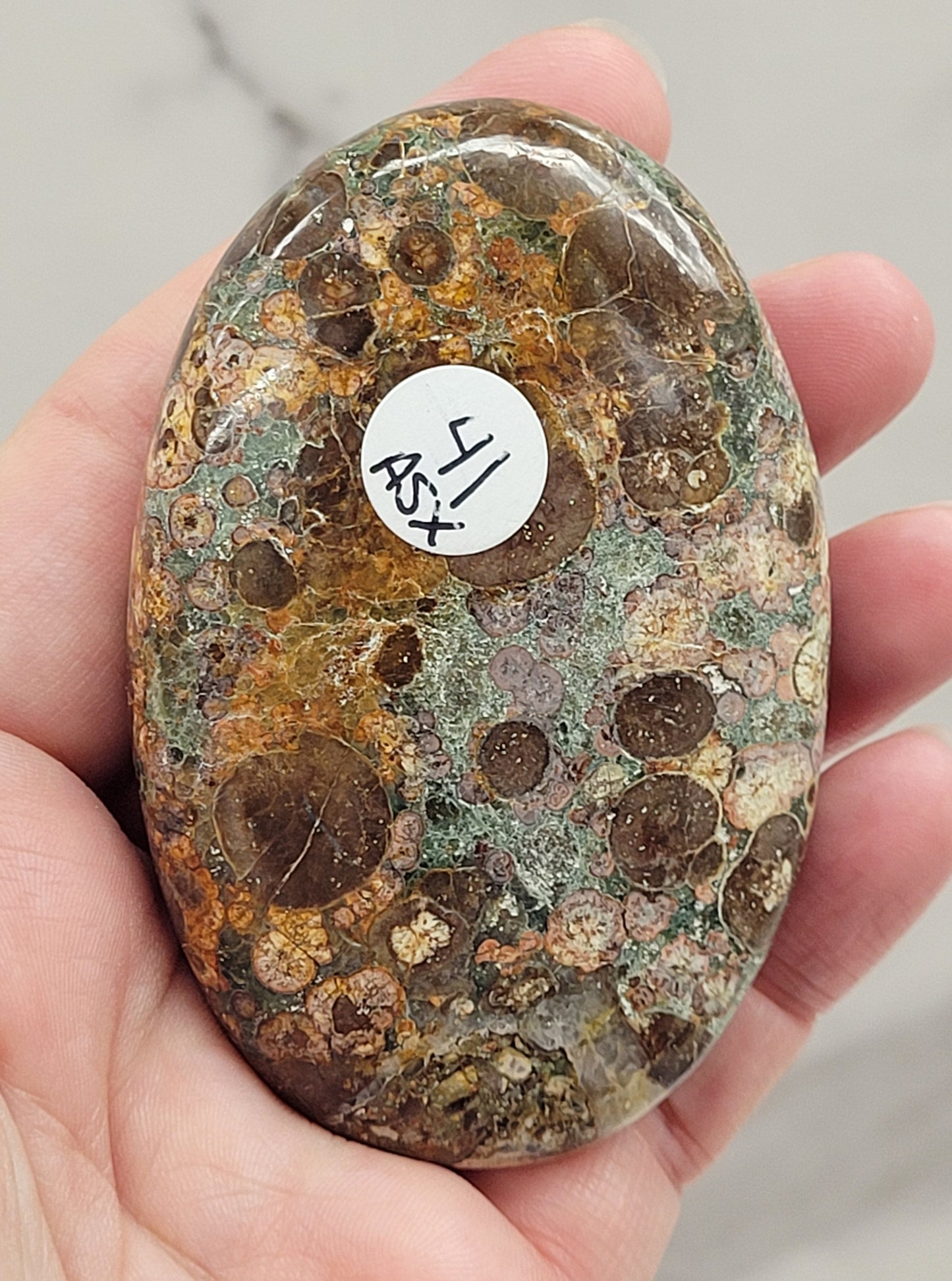 Palm - Crocodile Jasper