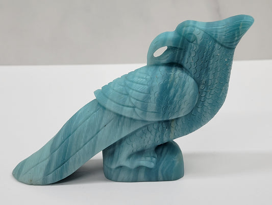 Caribbean Calcite bird