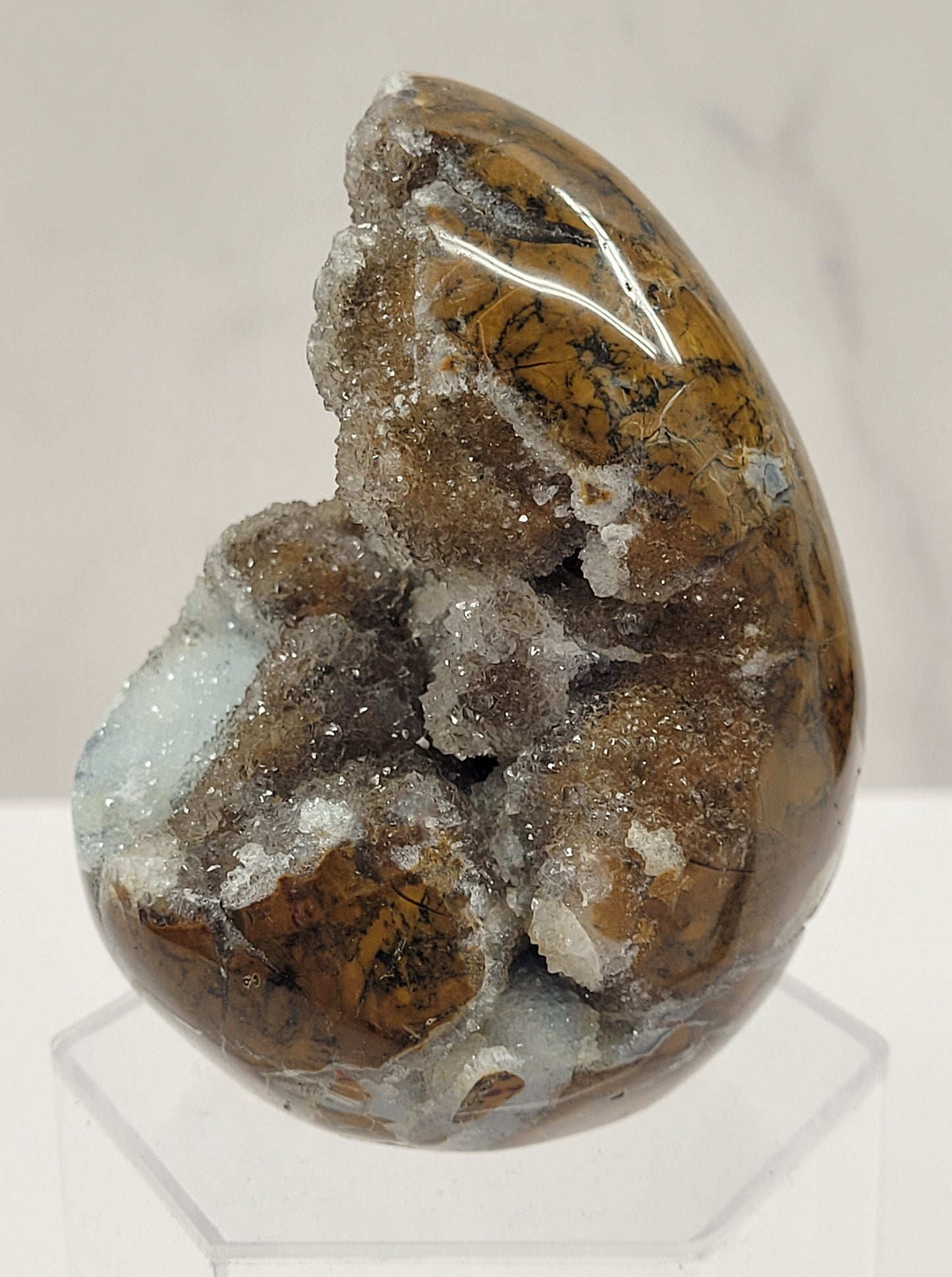 Brecciated Jasper free form