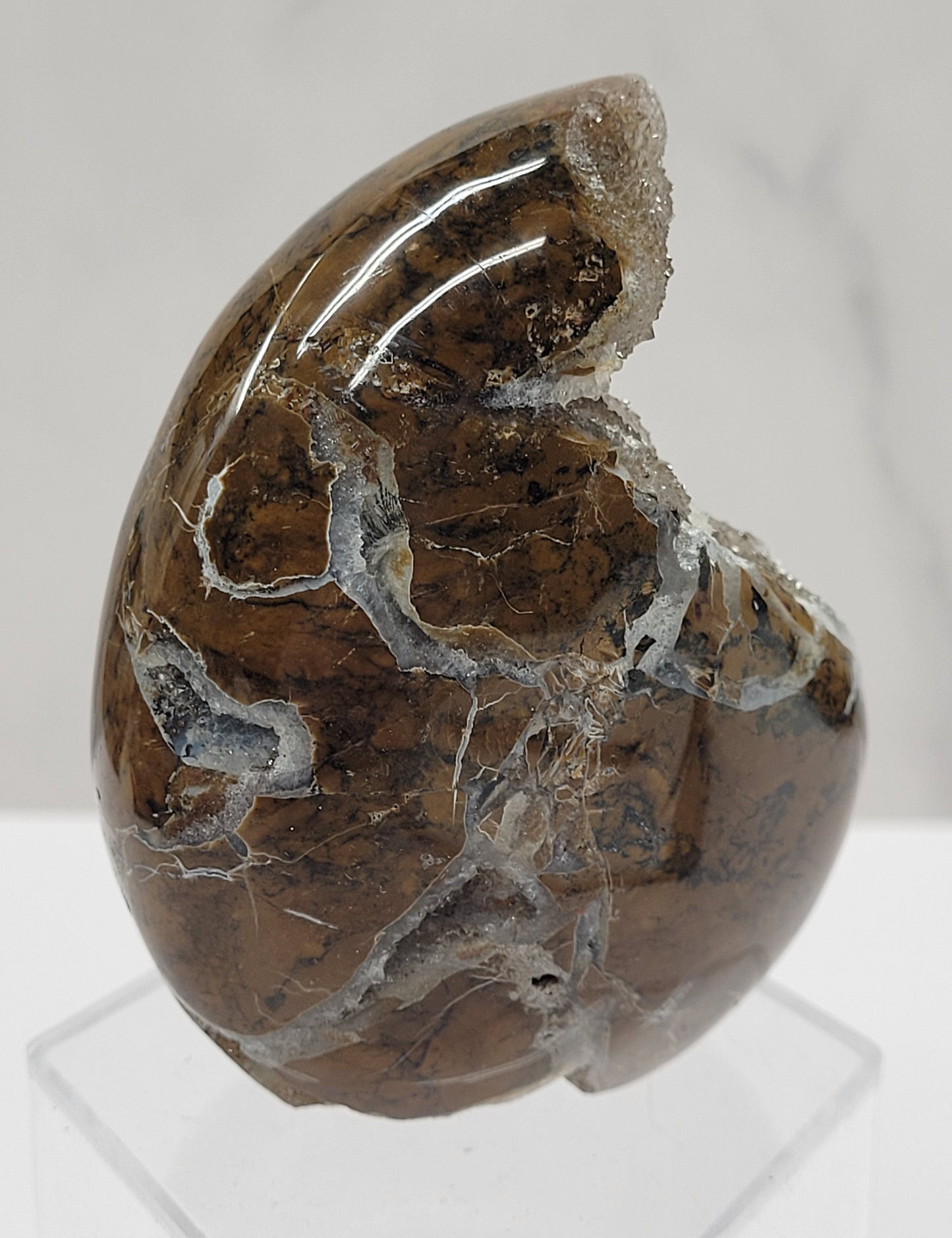 Brecciated Jasper free form