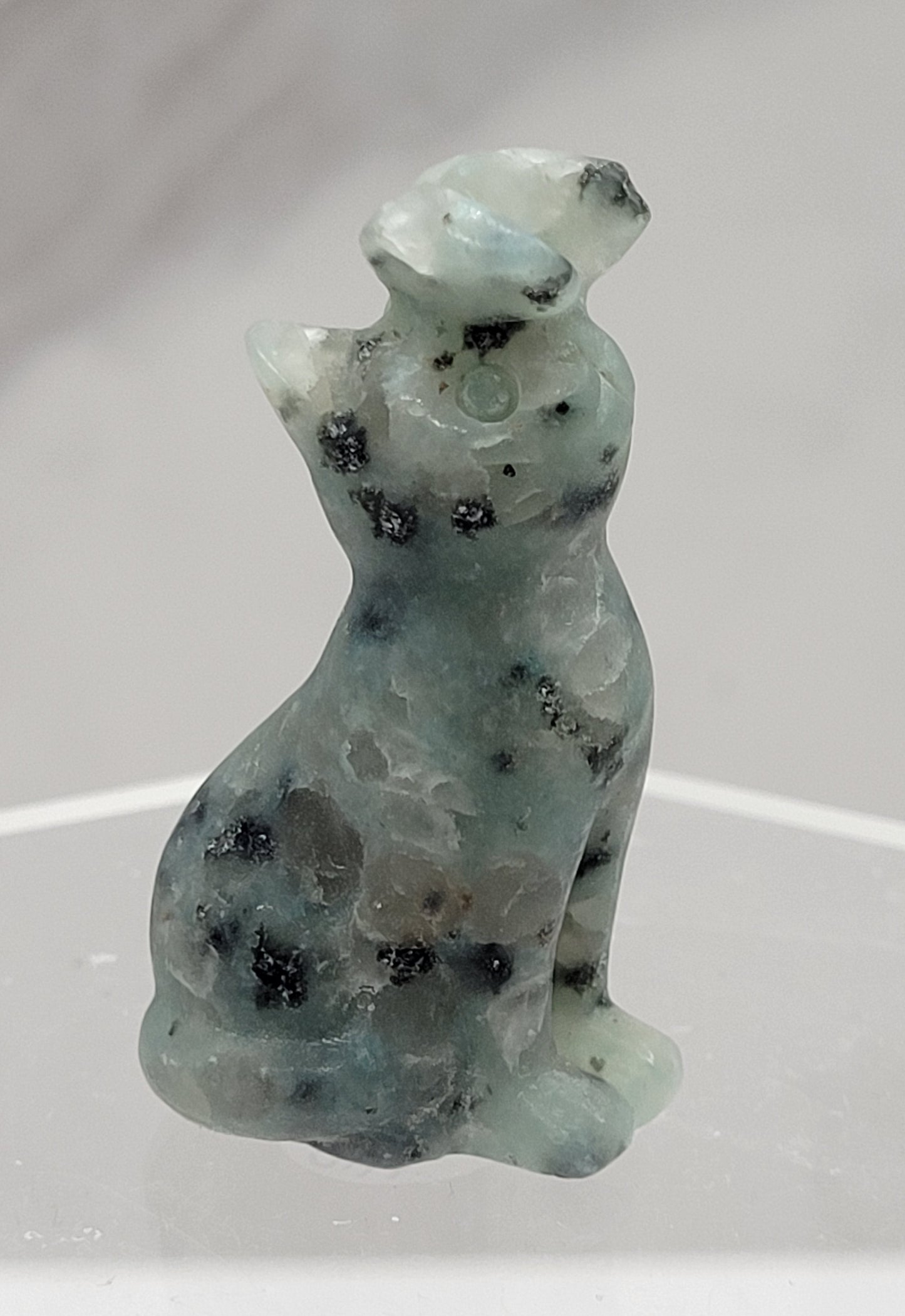 Cat/kitty carving - butterfly on nose (S)