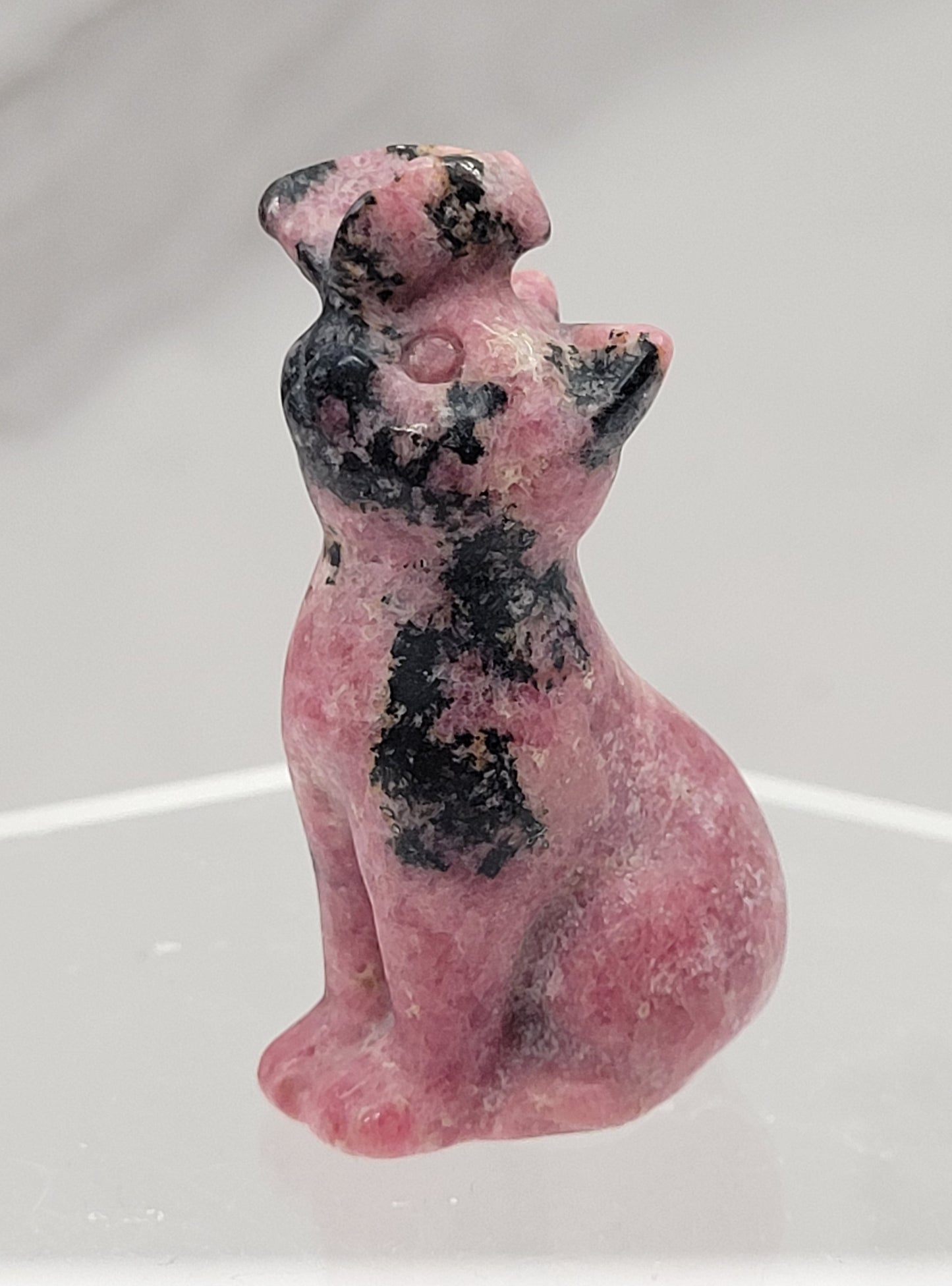 Cat/kitty carving - butterfly on nose (S)