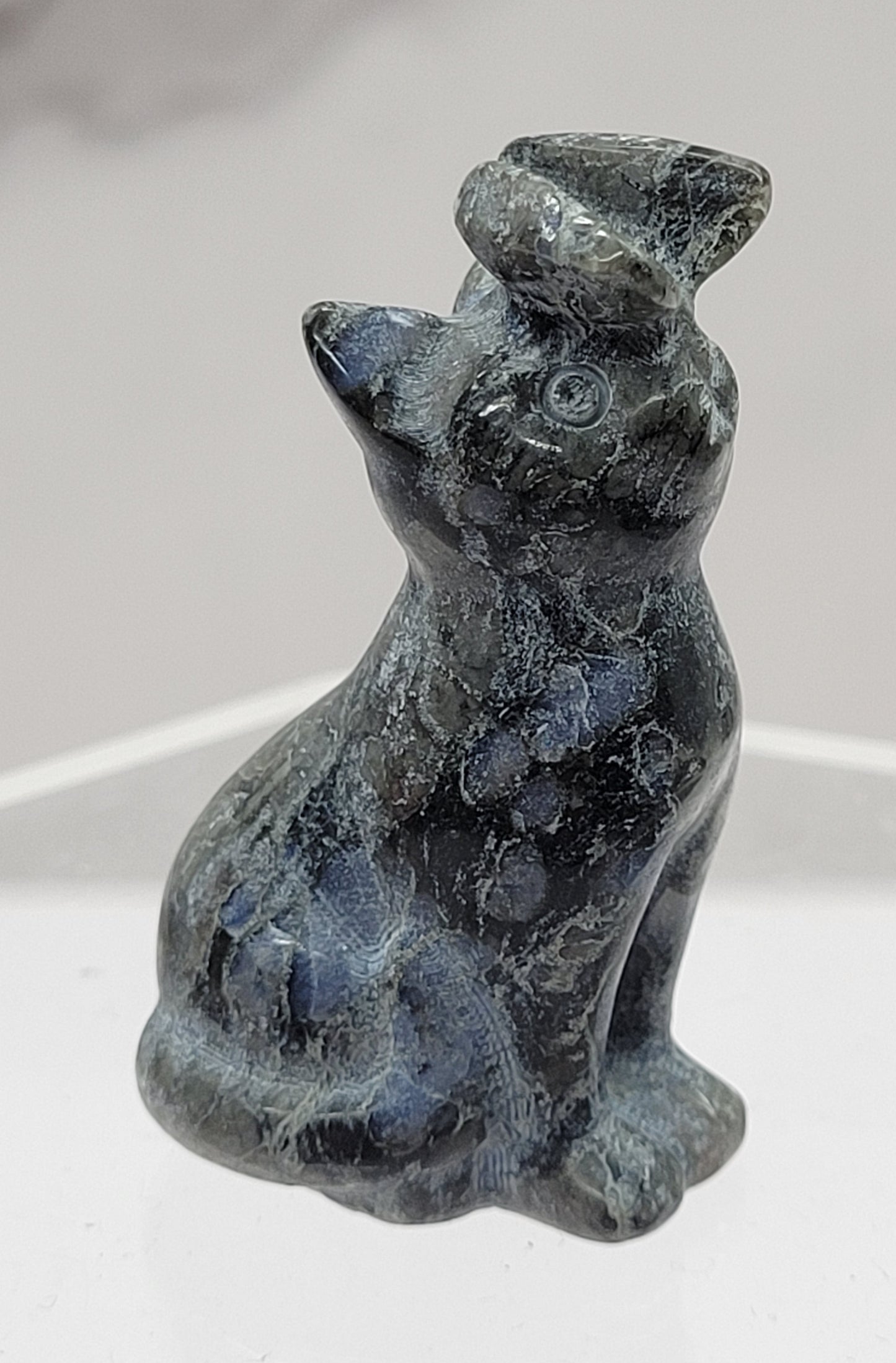 Cat/kitty carving - butterfly on nose (S)