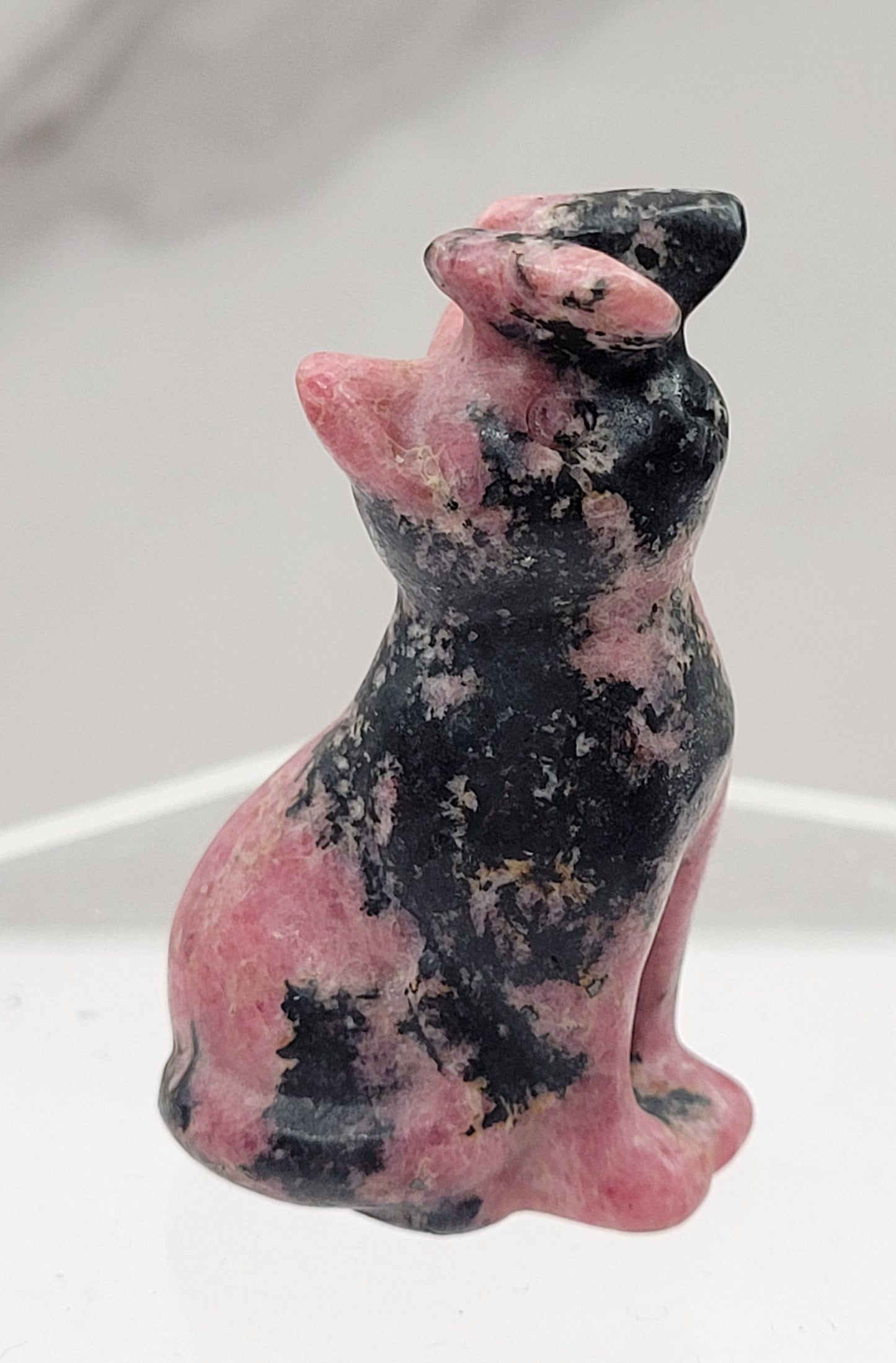 Cat/kitty carving - butterfly on nose (S)