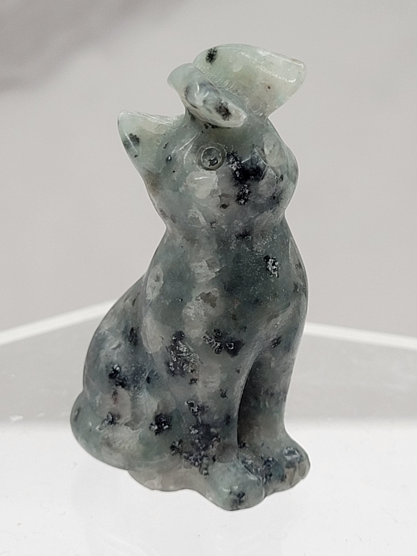 Cat/kitty carving - butterfly on nose (S)