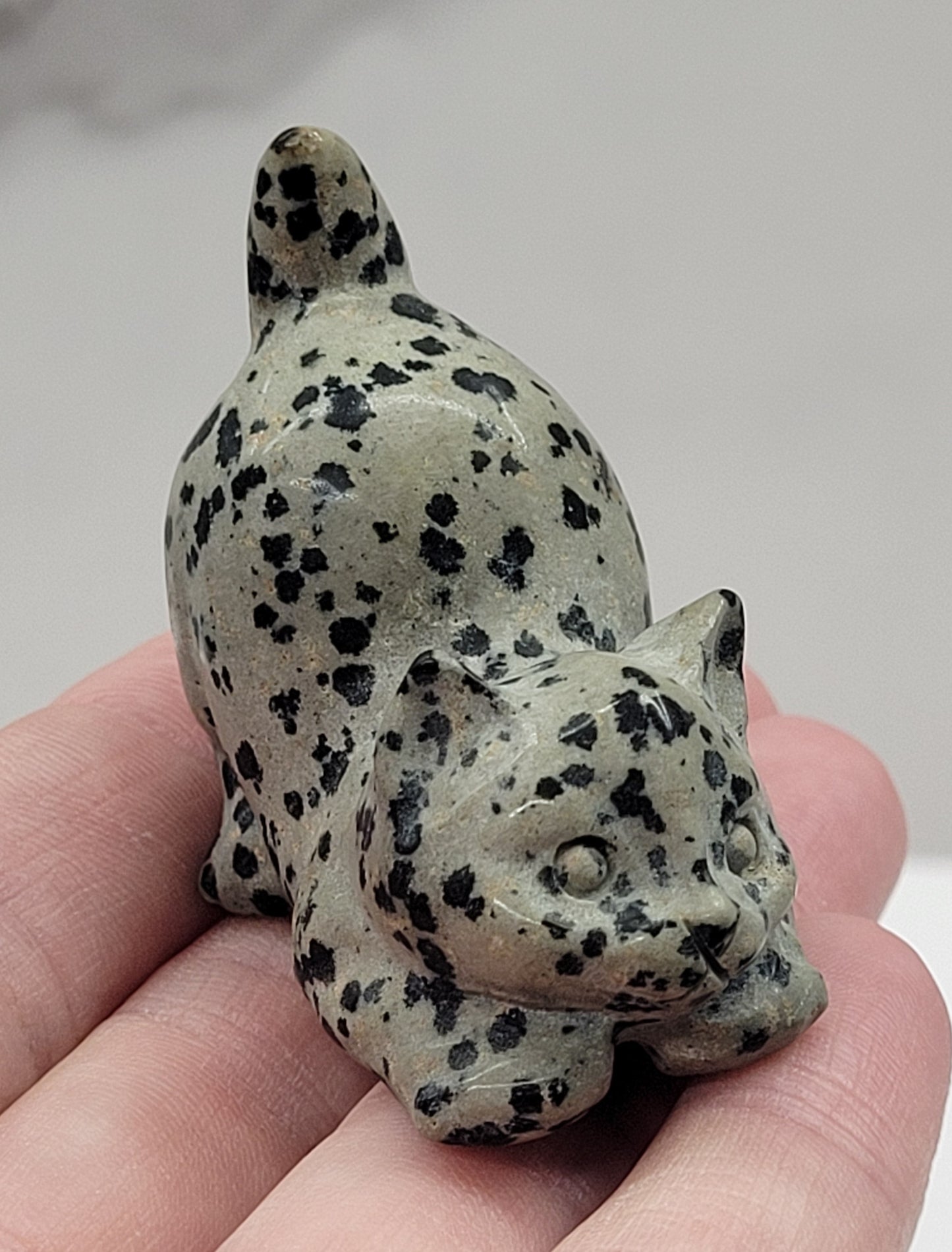 Cat/kitty carving - playful (M)