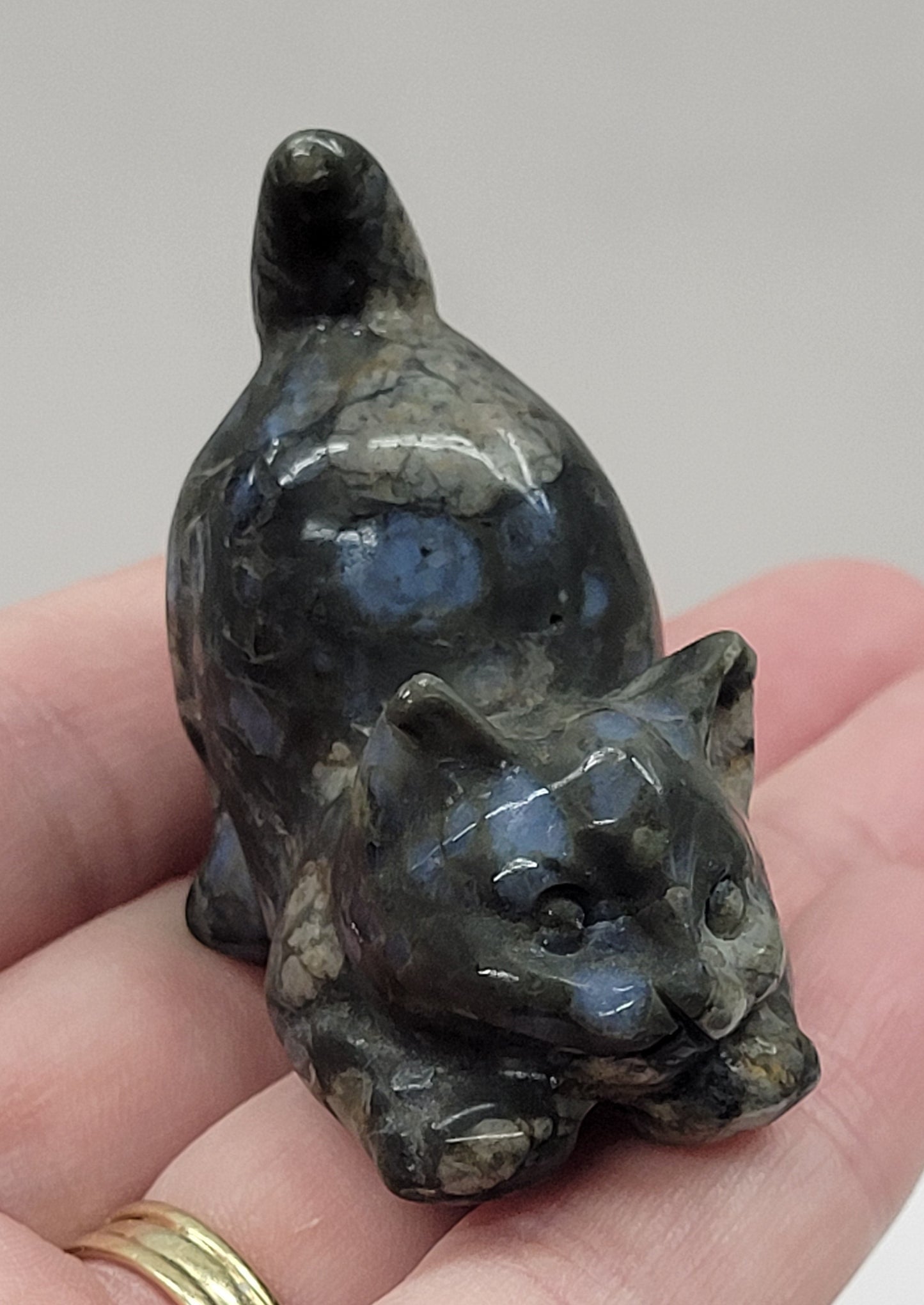 Cat/kitty carving - playful (M)