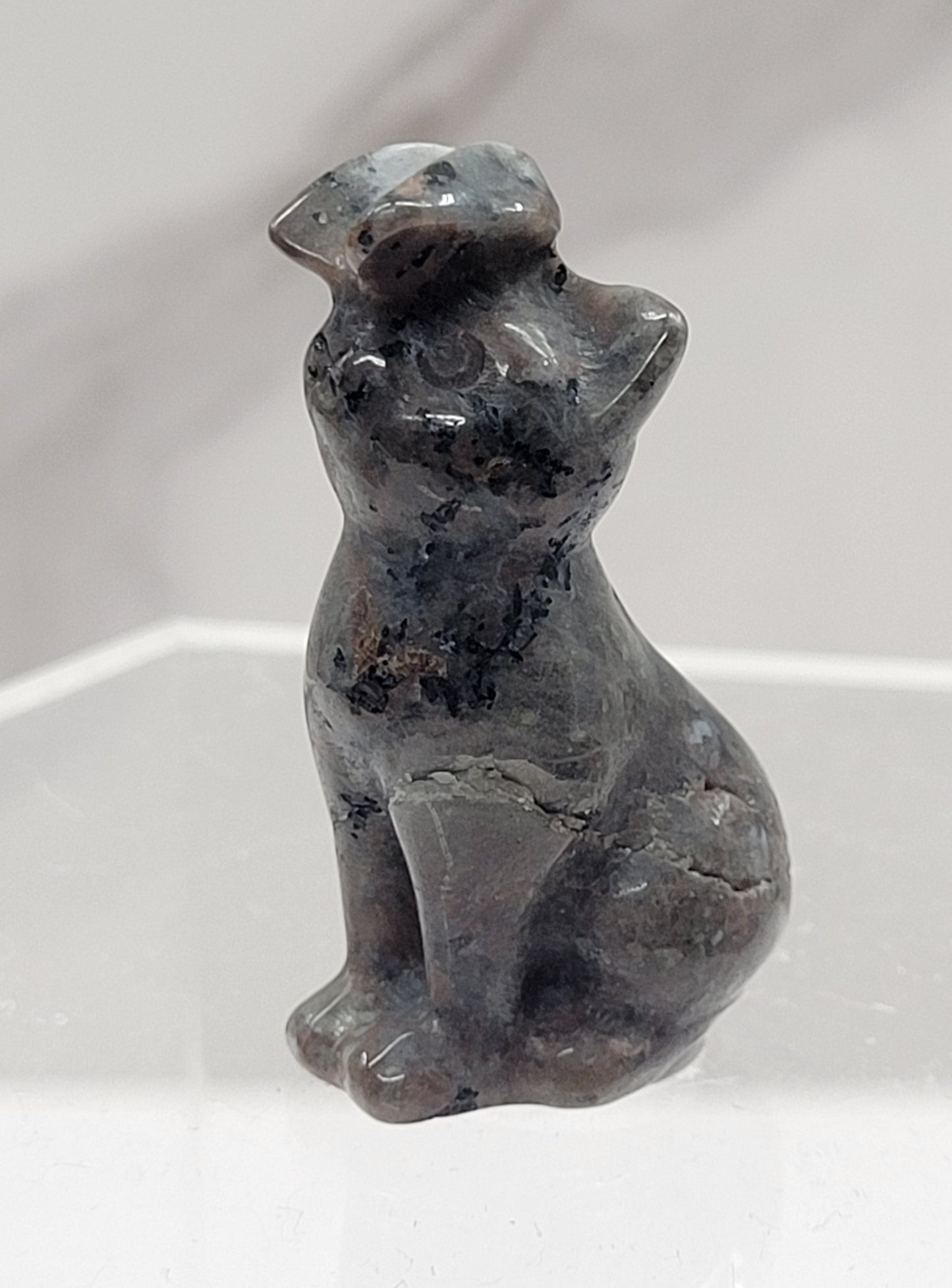 Cat/kitty carving - butterfly on nose (S)