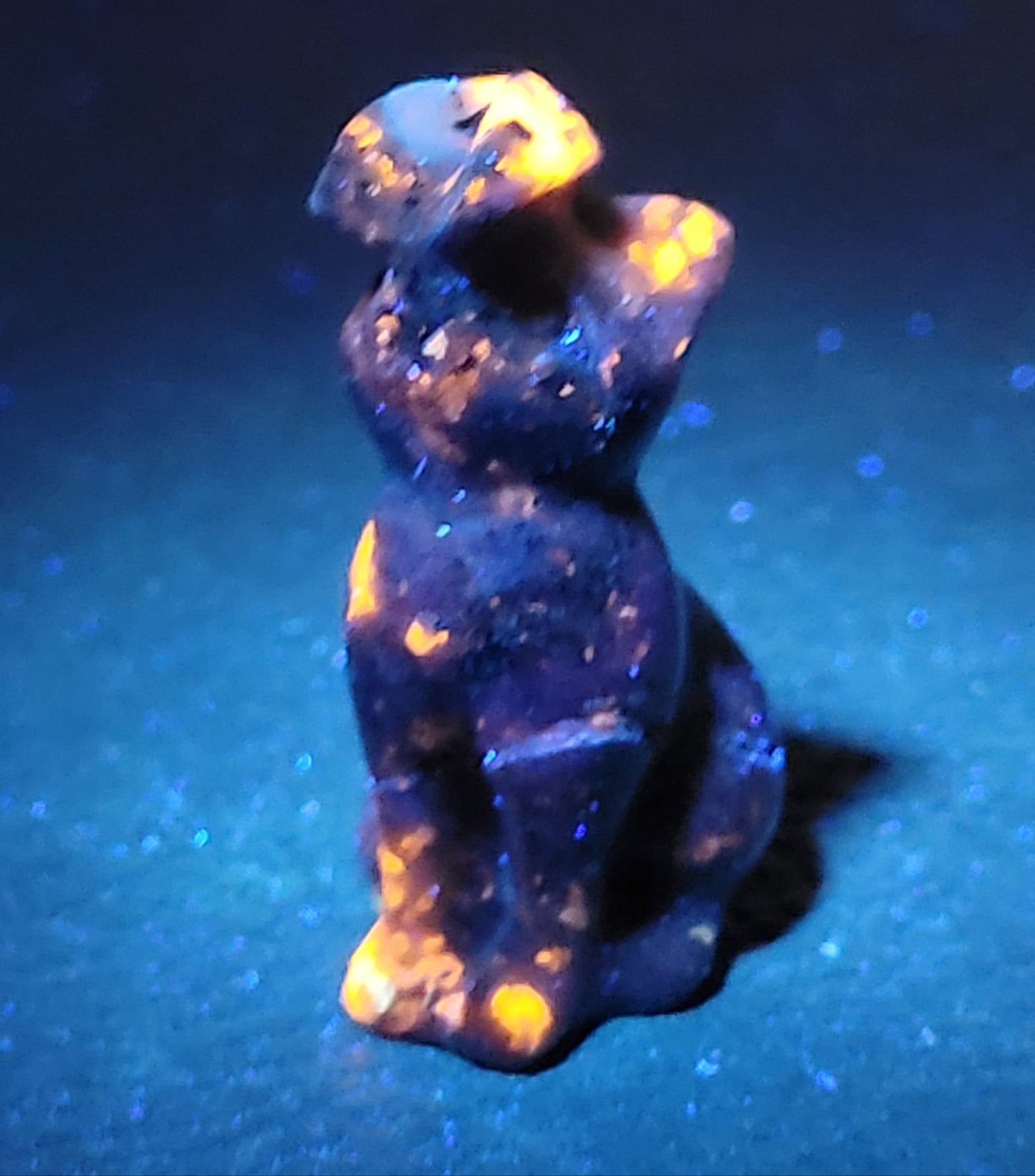 Cat/kitty carving - butterfly on nose (S)
