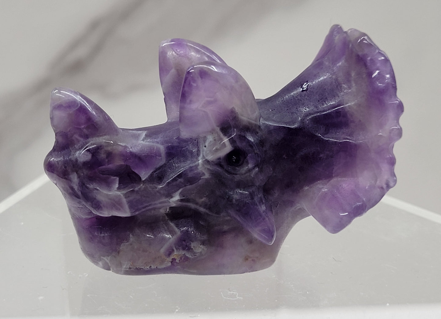 Triceratops skull carving