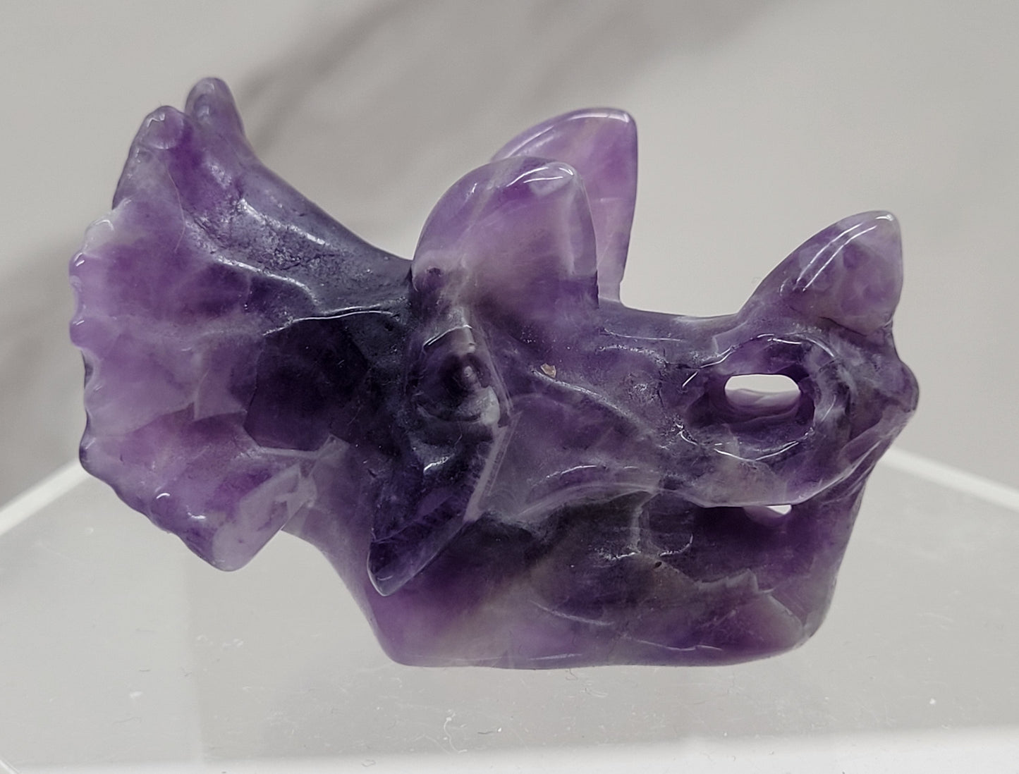 Triceratops skull carving