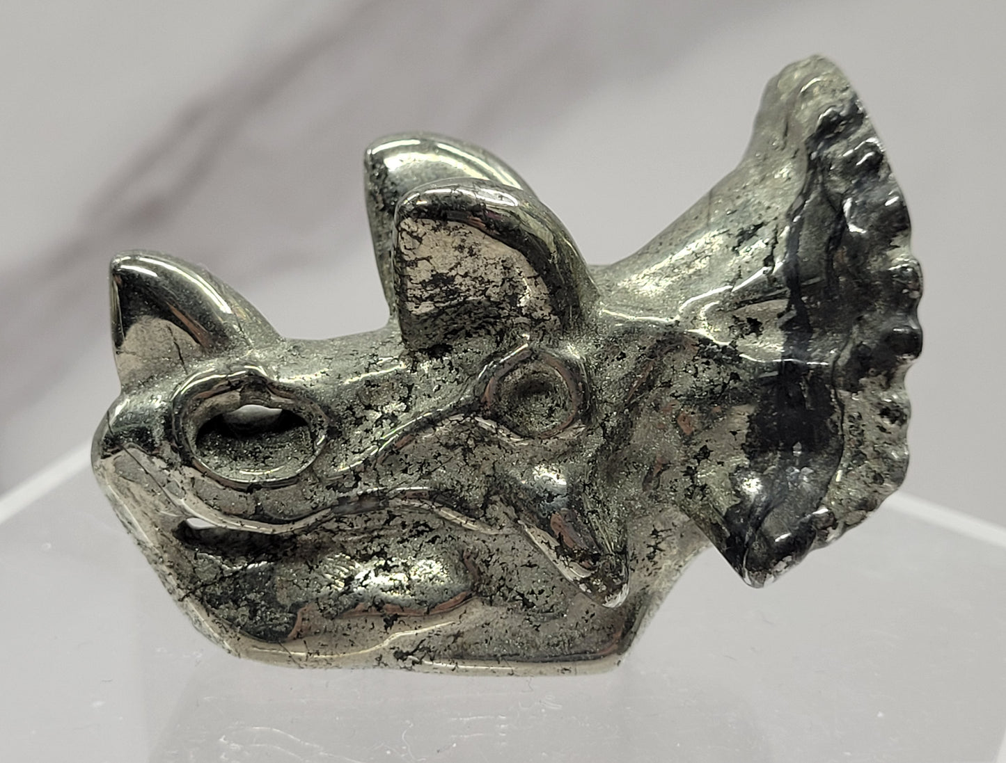 Triceratops skull carving