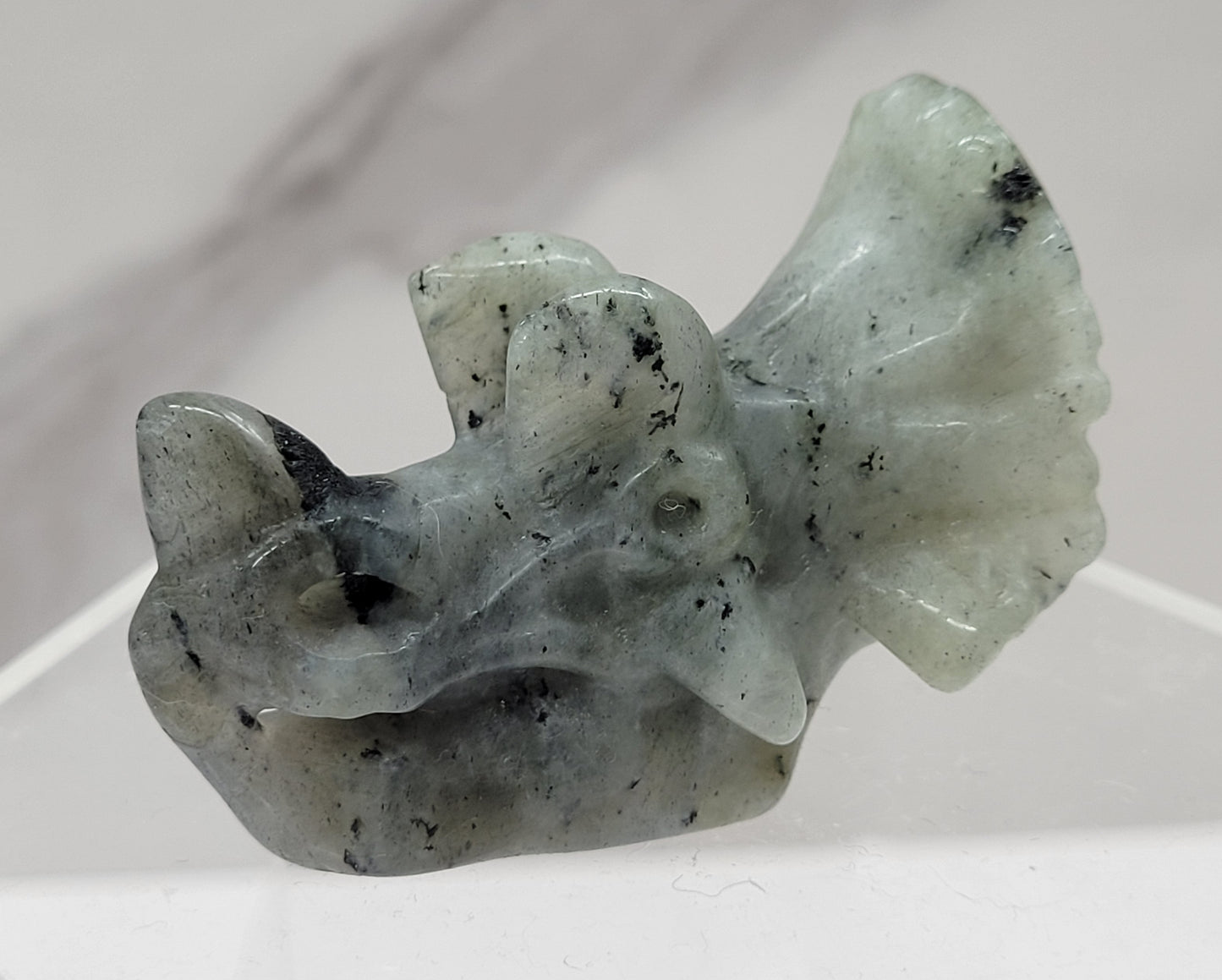 Triceratops skull carving