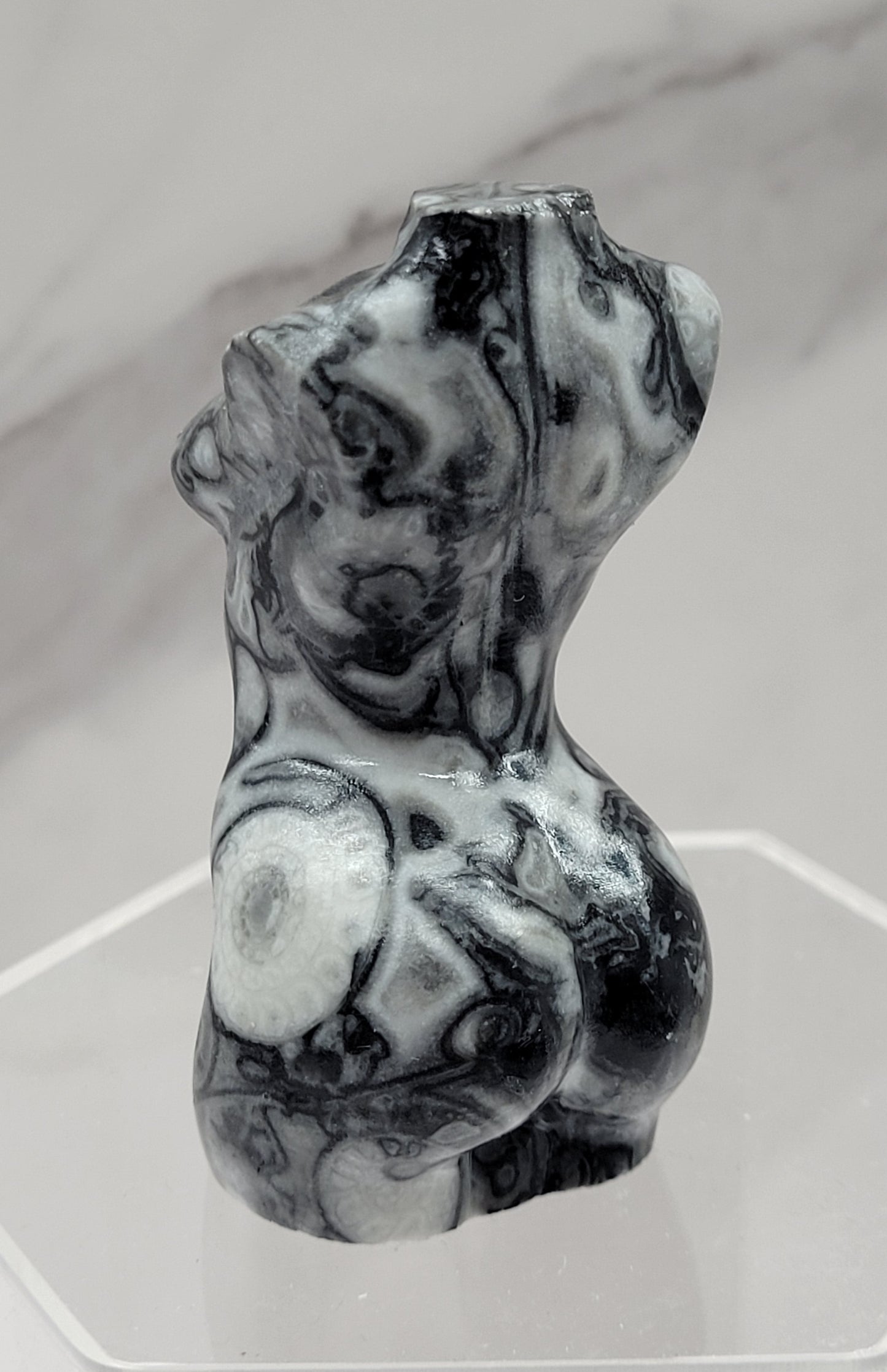 Goddess body - Fossil Shell Jasper (L)
