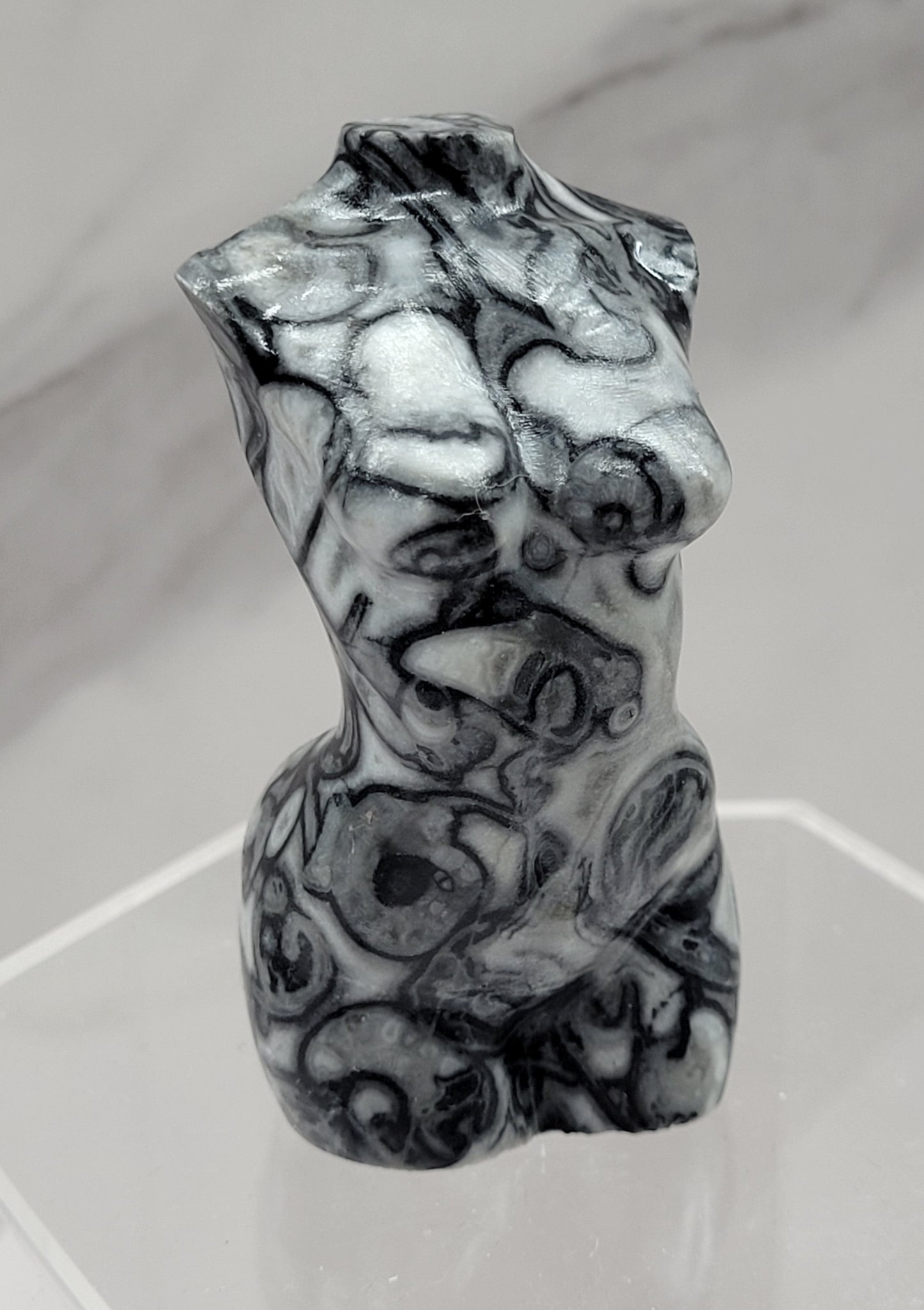 Goddess body - Fossil Shell Jasper (L)