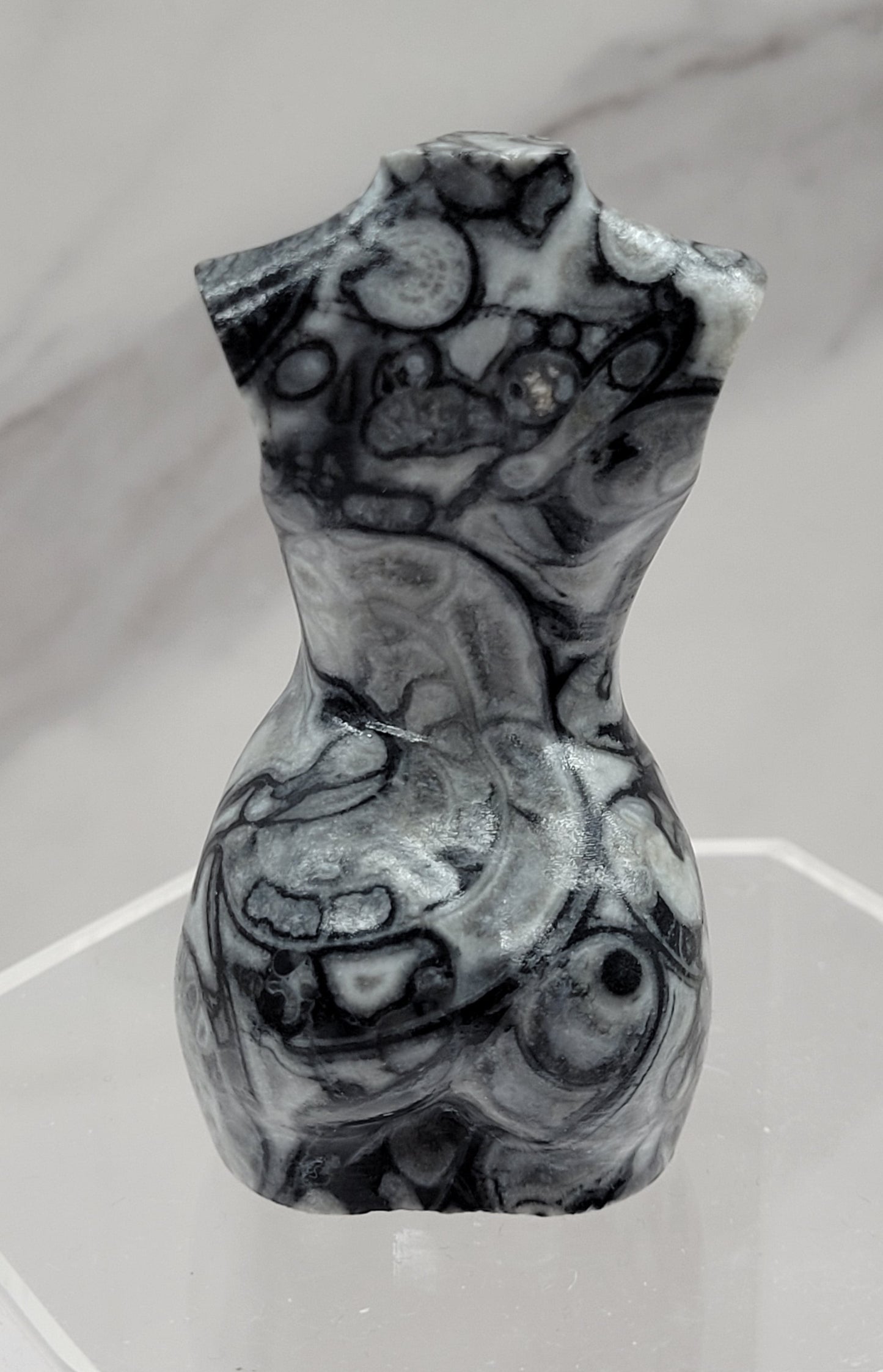 Goddess body - Fossil Shell Jasper (L)