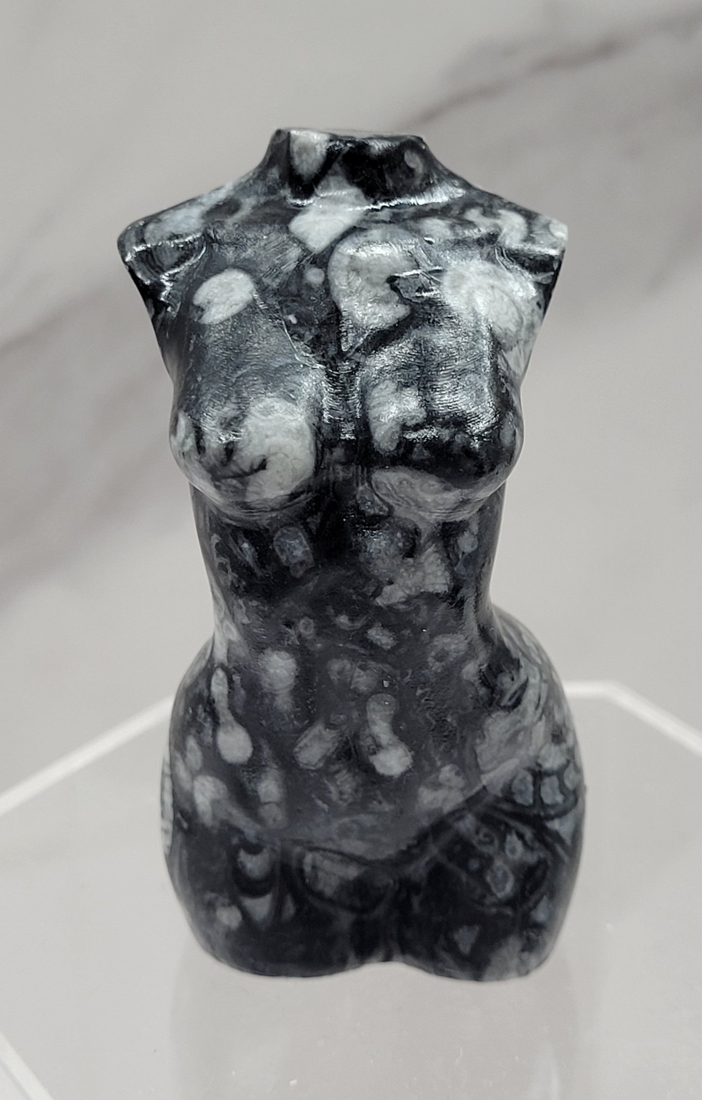 Goddess body - Fossil Shell Jasper (L)