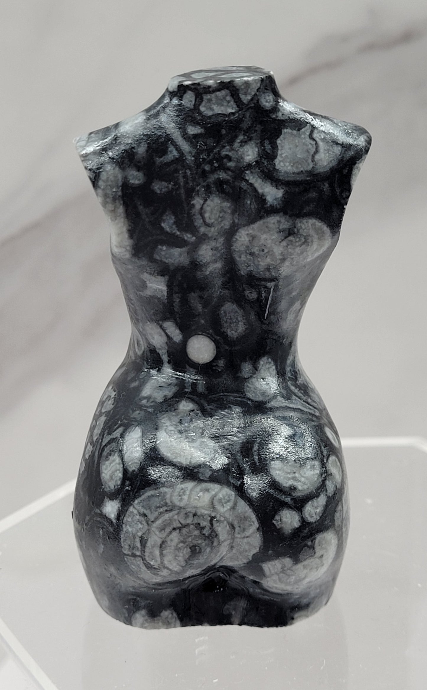Goddess body - Fossil Shell Jasper (L)