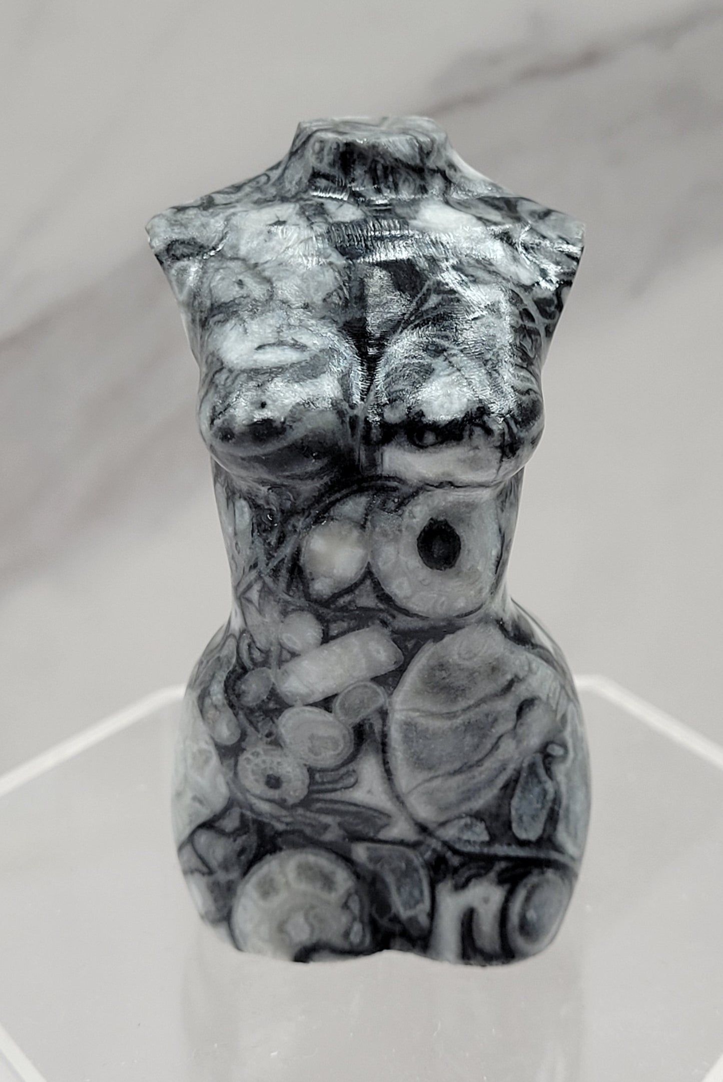 Goddess body - Fossil Shell Jasper (L)