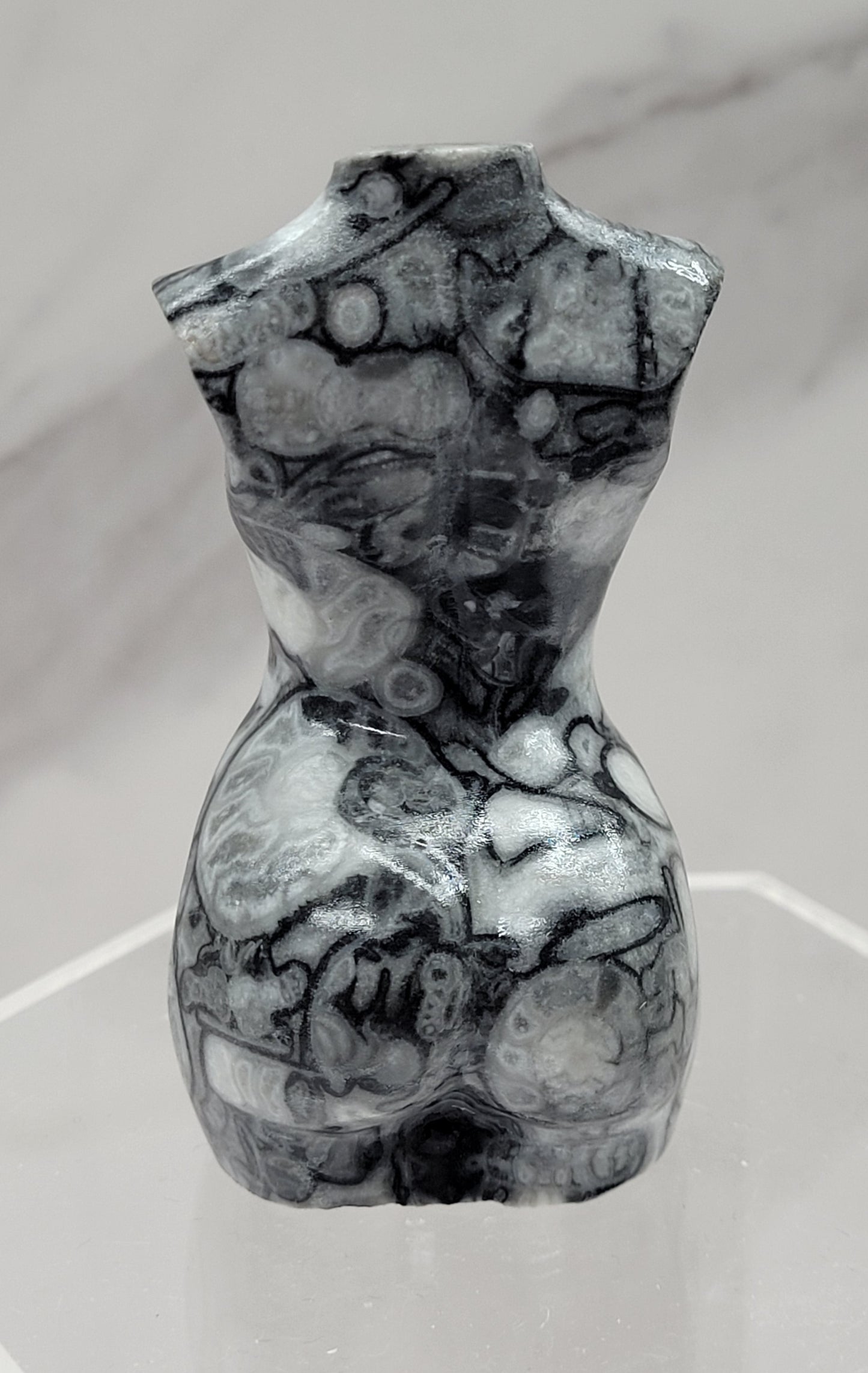 Goddess body - Fossil Shell Jasper (L)