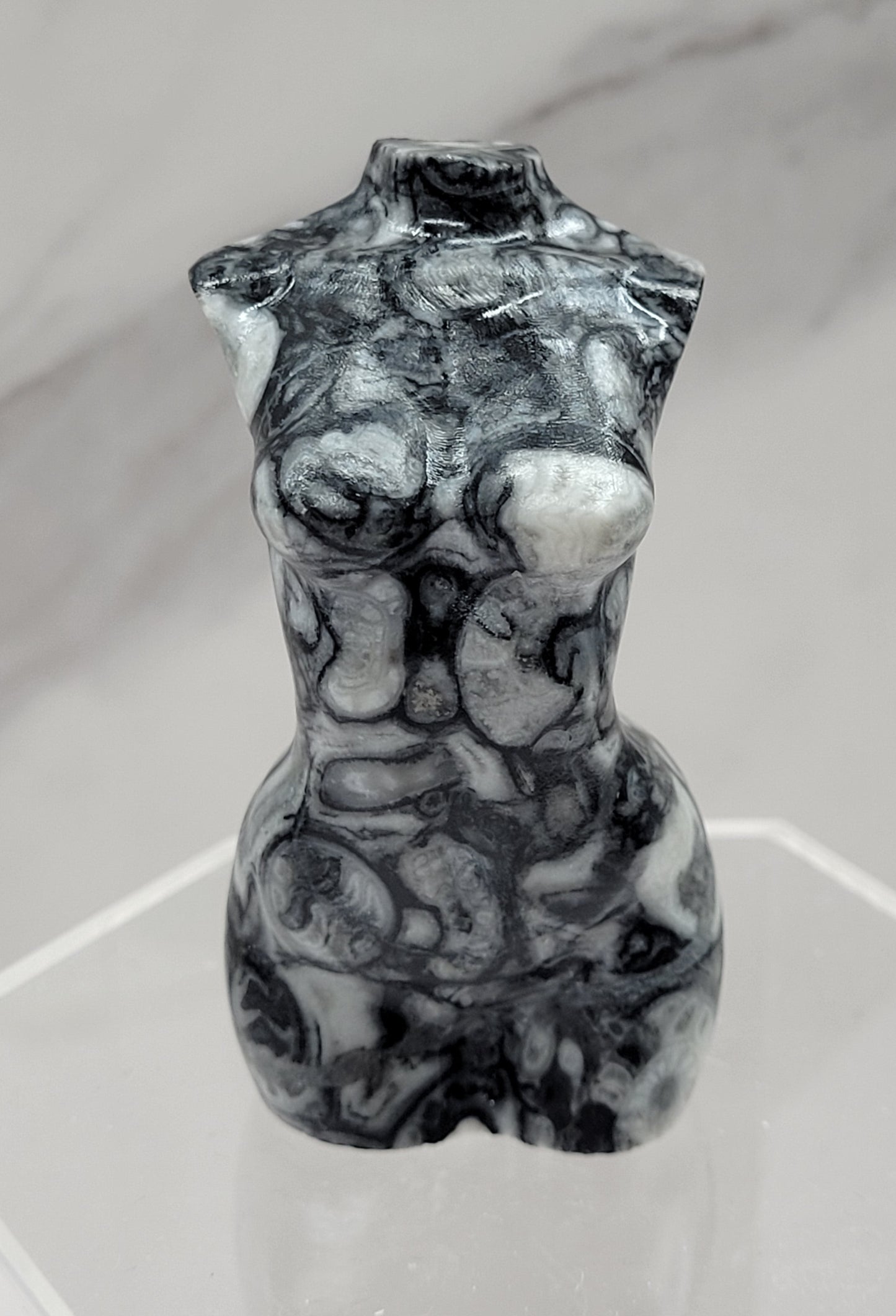 Goddess body - Fossil Shell Jasper (L)
