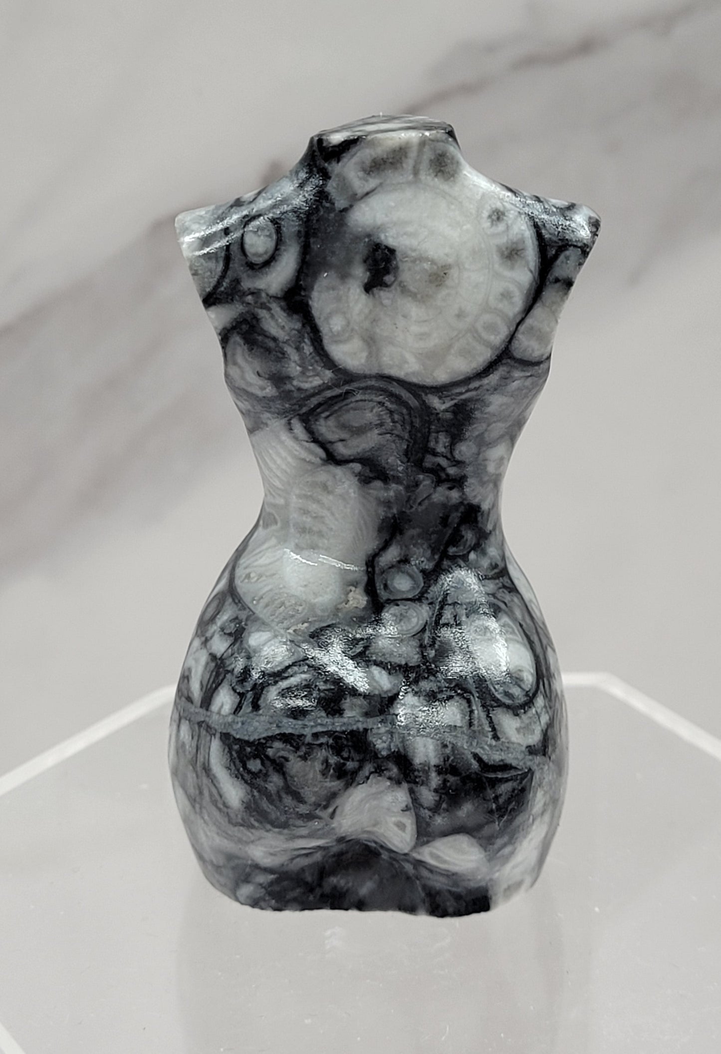 Goddess body - Fossil Shell Jasper (L)