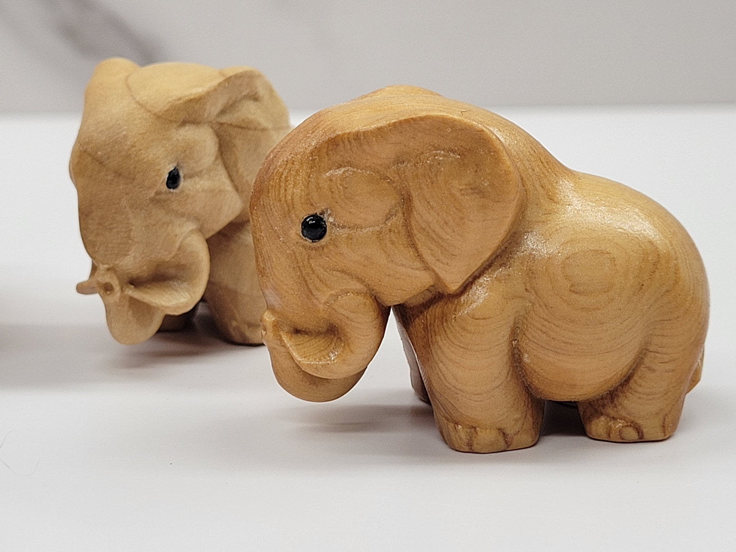 Arborvitae wood elephant