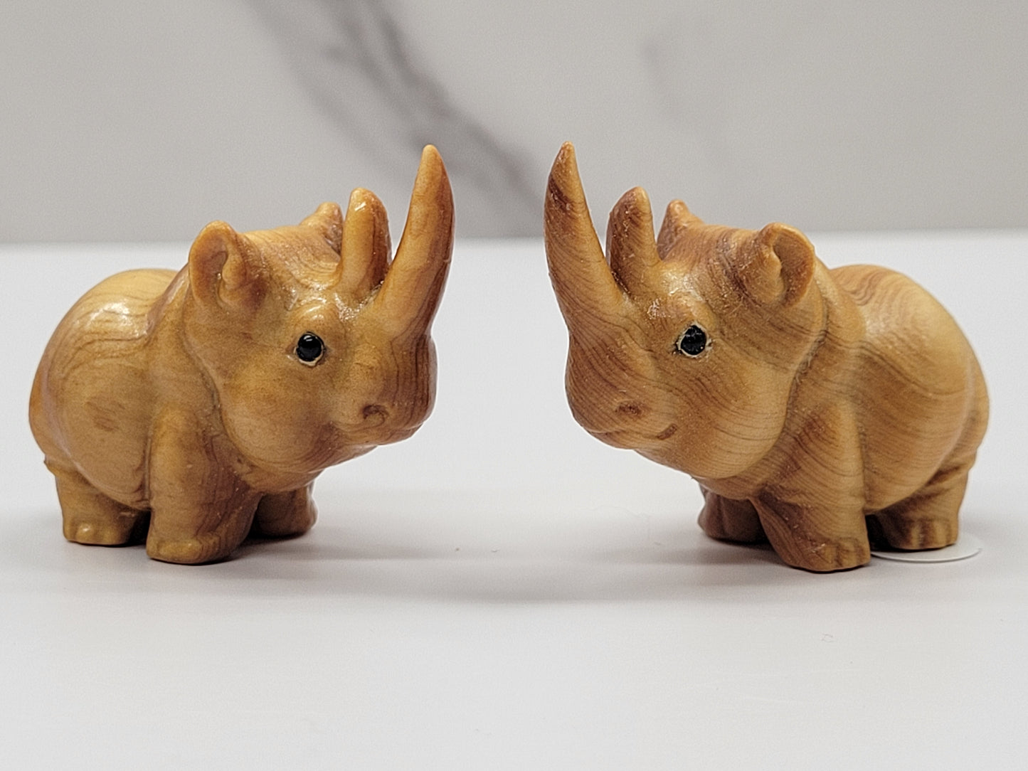 Arborvitae wood rhino