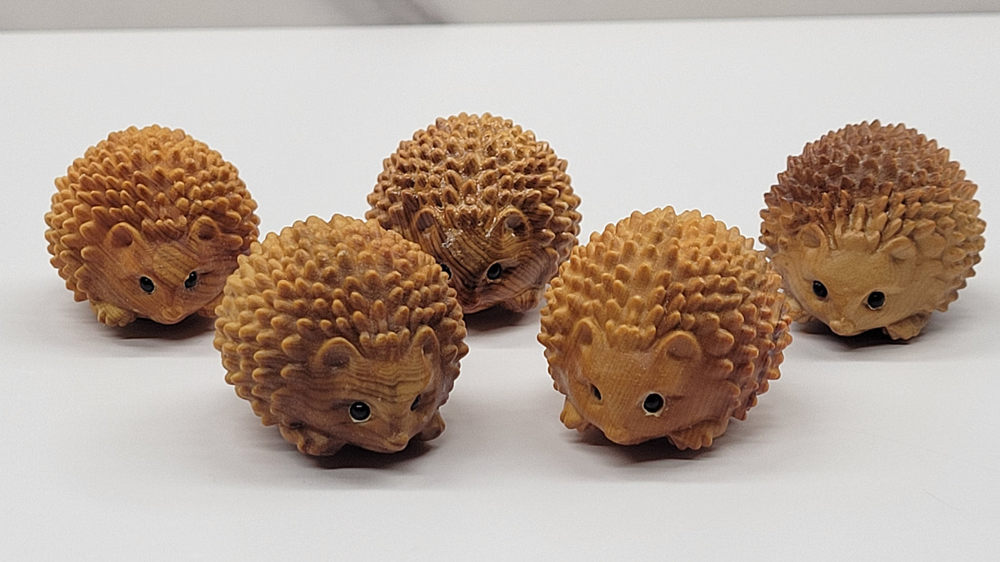 Arborvitae wood hedgehog
