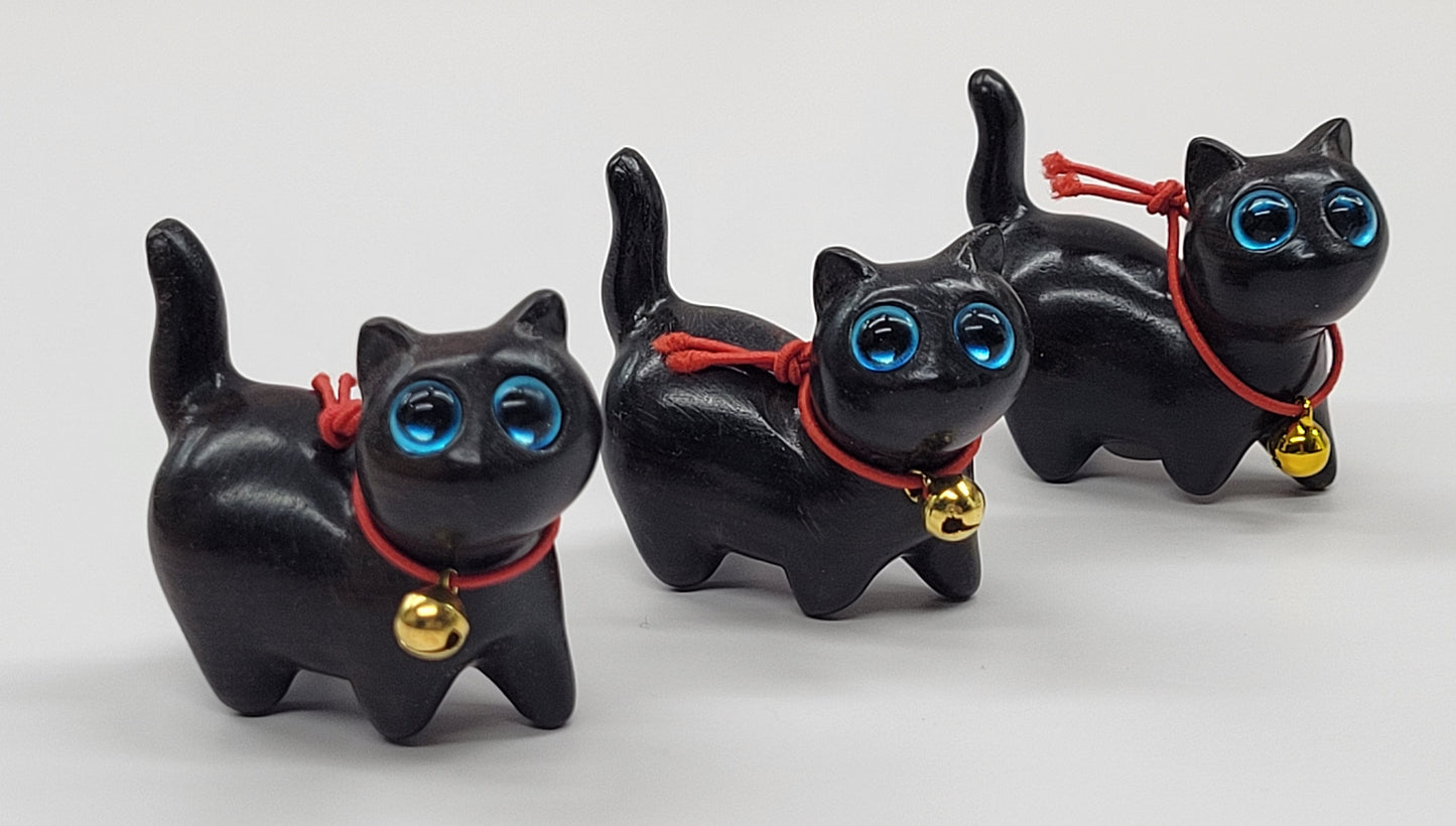 Sandalwood cat