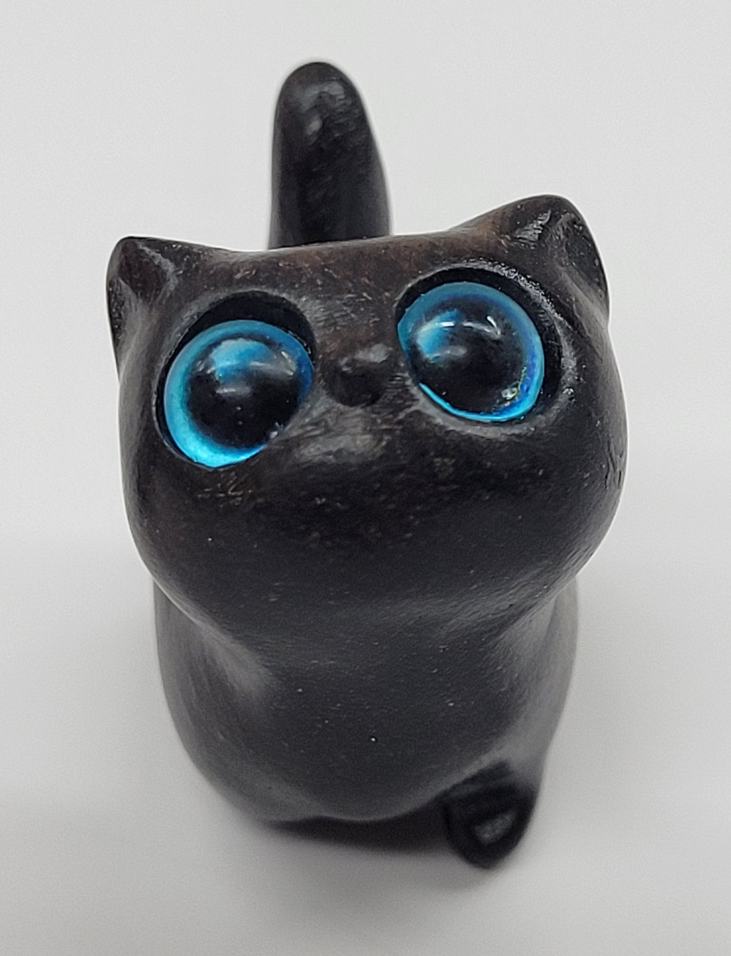 Sandalwood cat